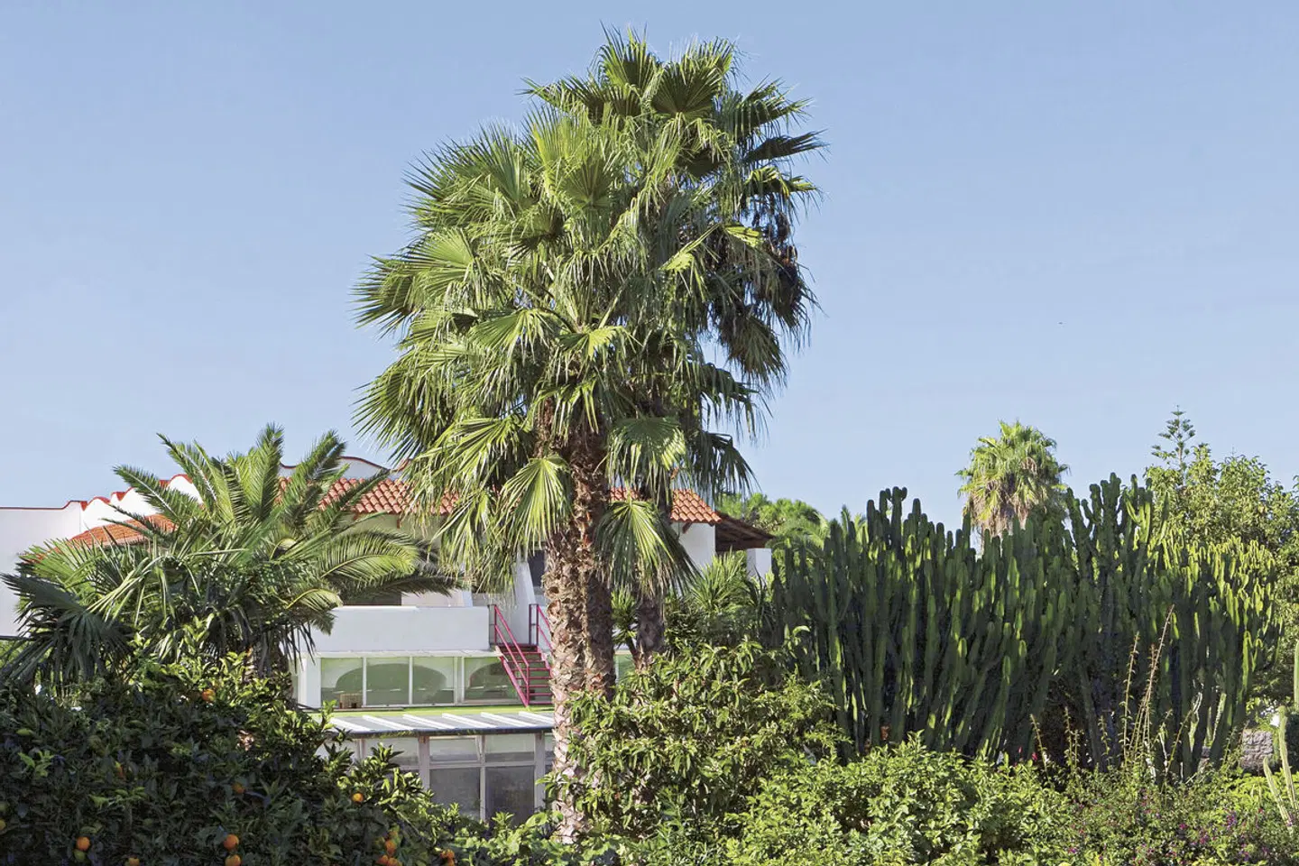 Park Hotel Terme Mediterraneo Garten