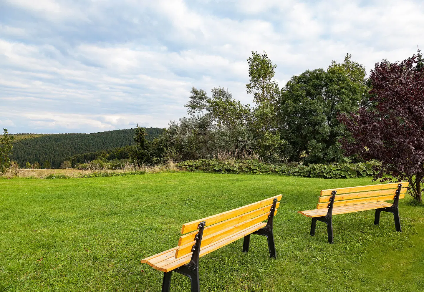 Hotel Kammweg Garten