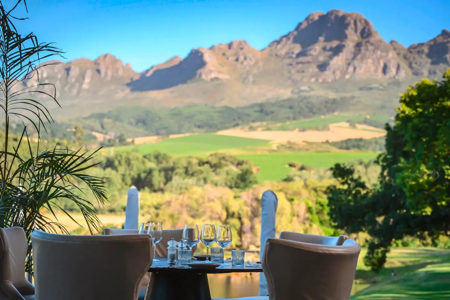 Webersburg Stellenbosch LANDSCAPE