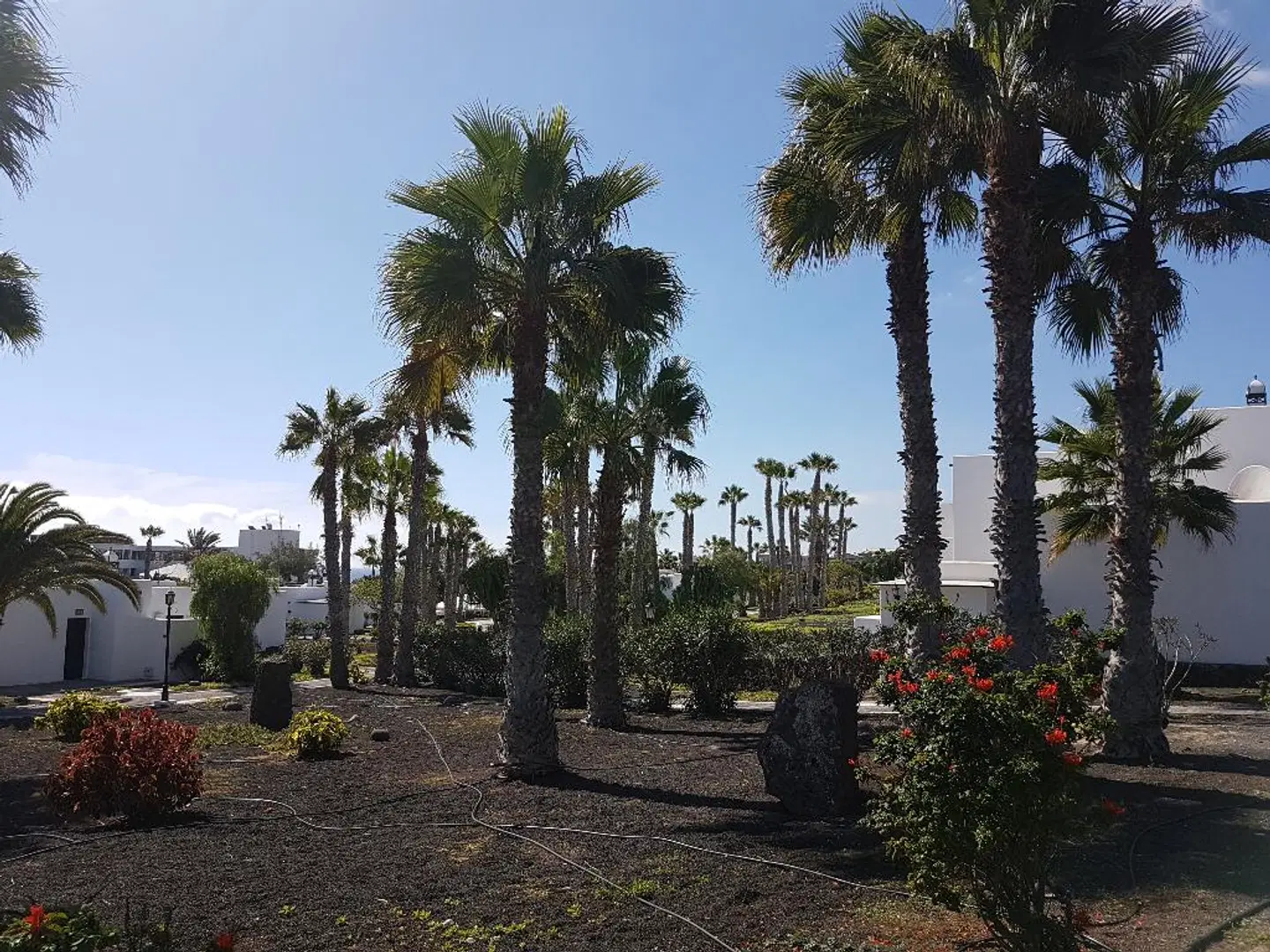 Palmeras Garden Garten