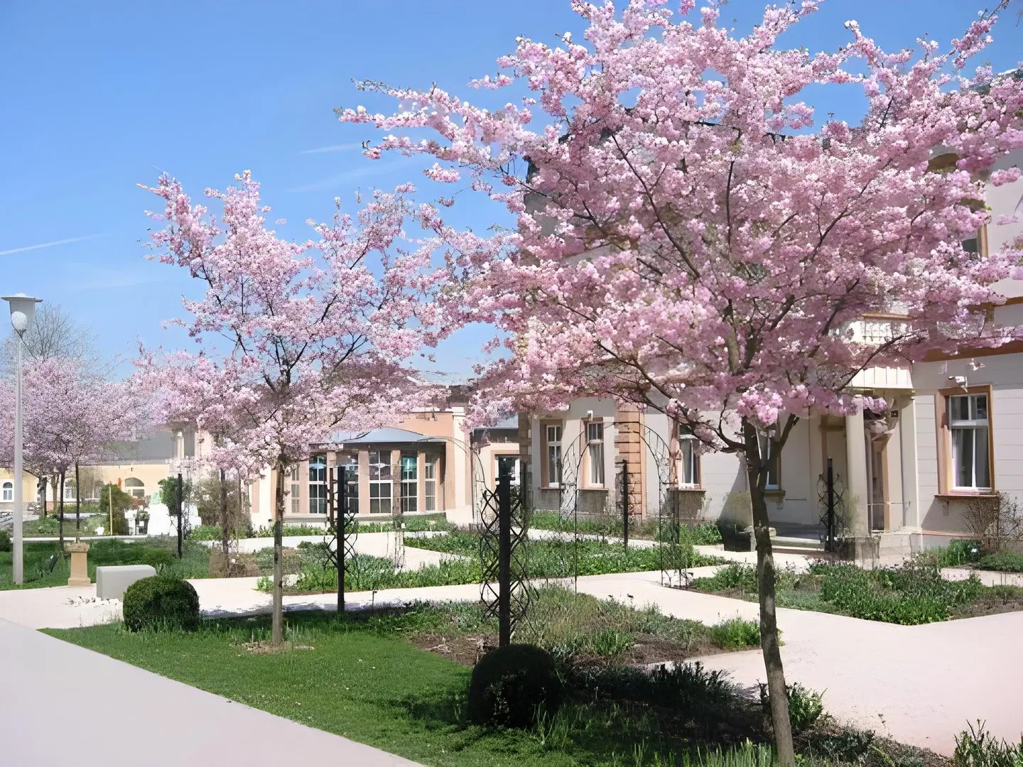 Parkpension Billroth EXTERIOR