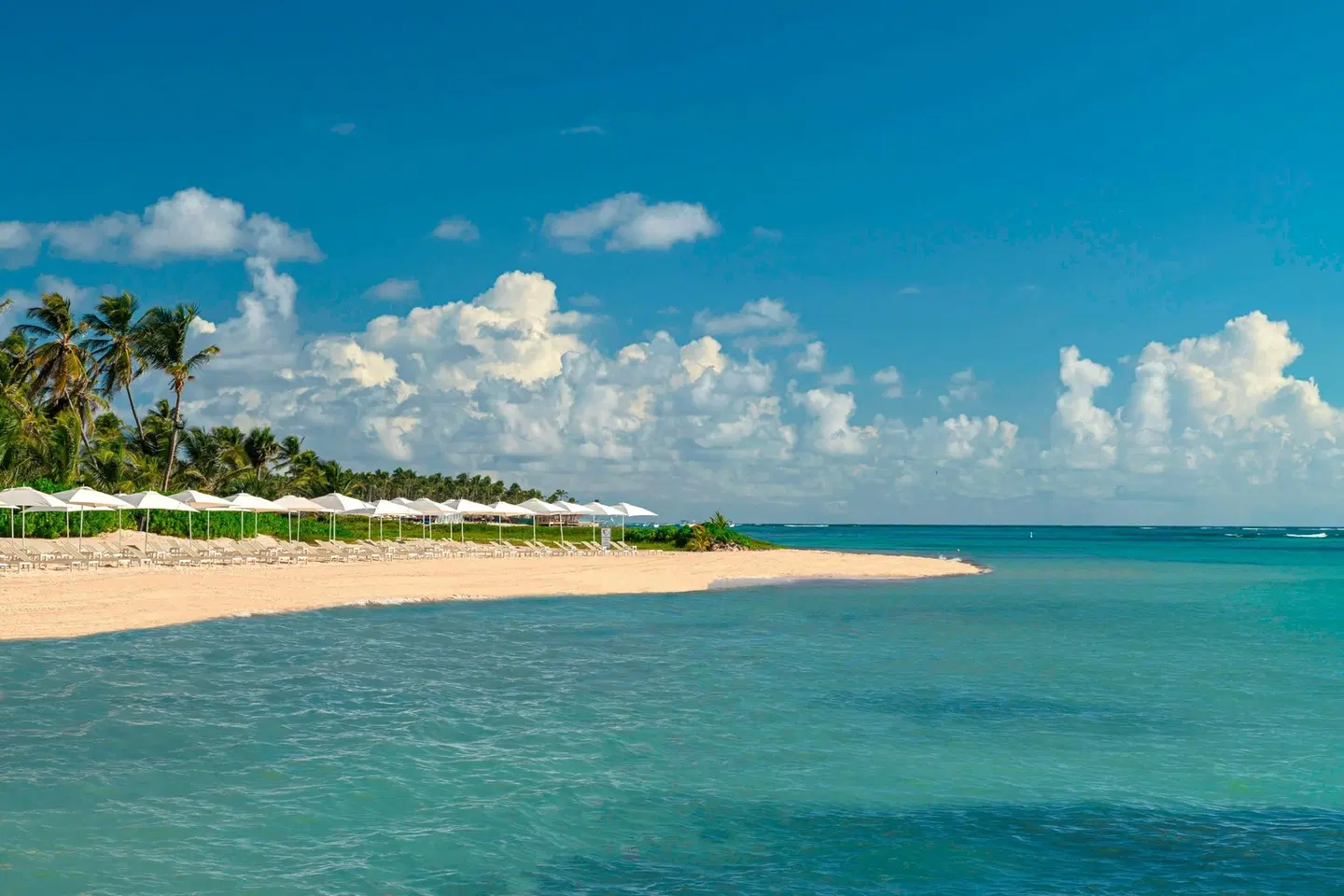 The Westin Puntacana Resort & Club LANDSCAPE