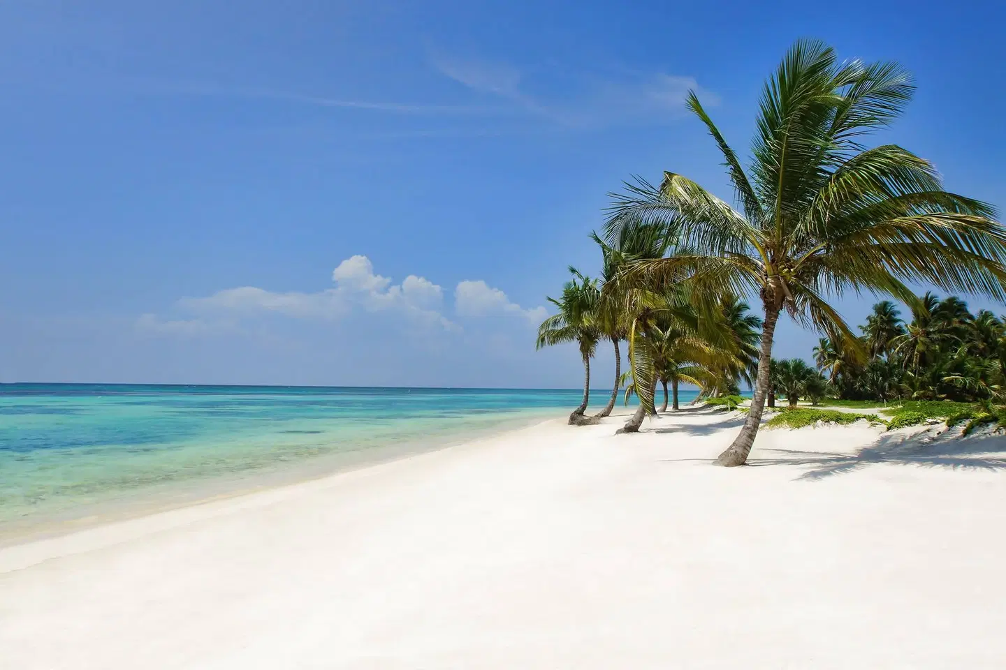 The Westin Puntacana Resort & Club Strand