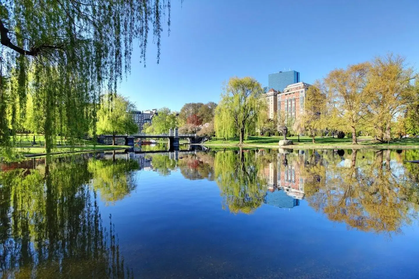 The Newbury Boston OUTDOOR_POOL