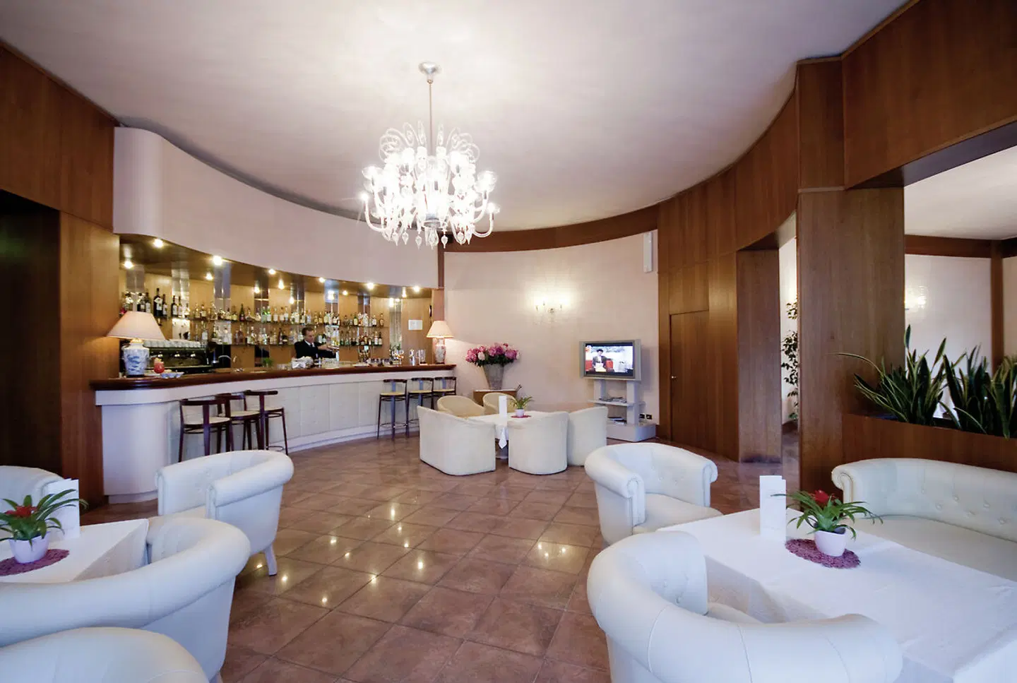 Aurelia Bar
