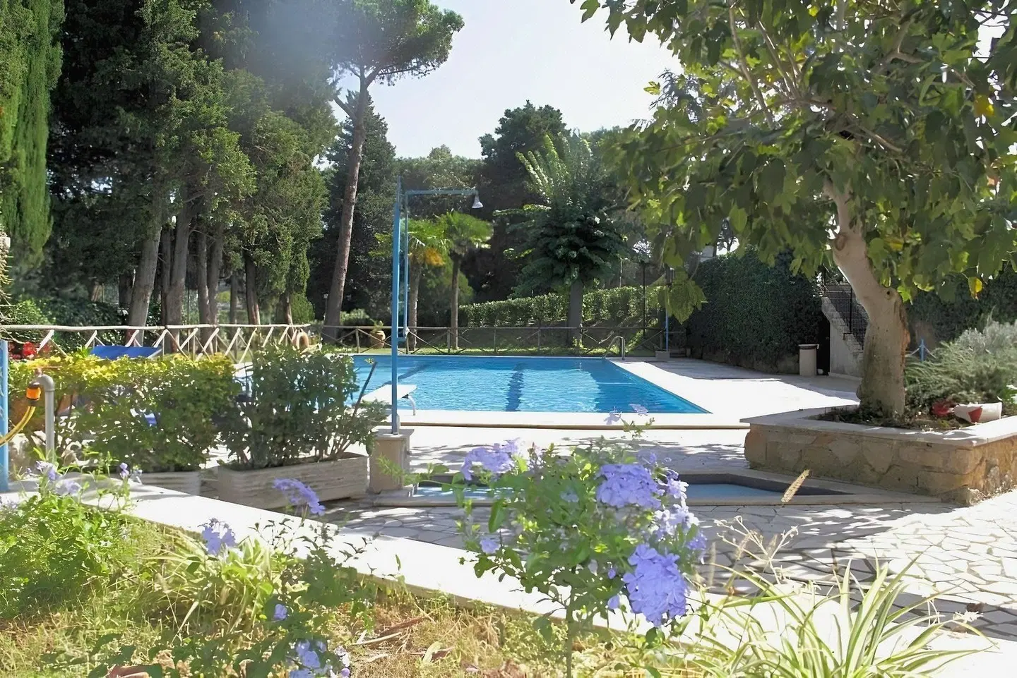 Hotel Boomerang Roma OUTDOOR_POOL