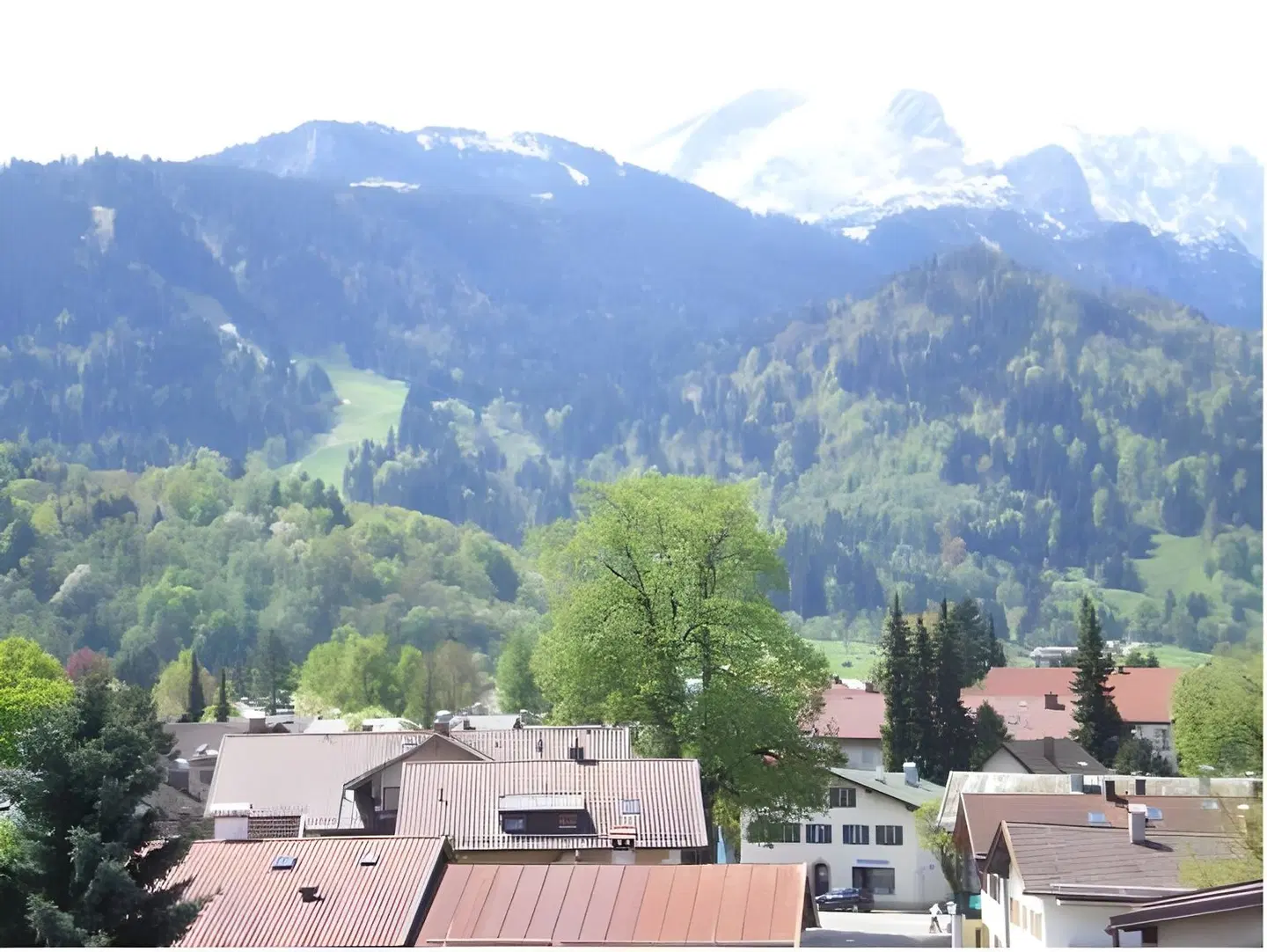 Zum Rassen LANDSCAPE