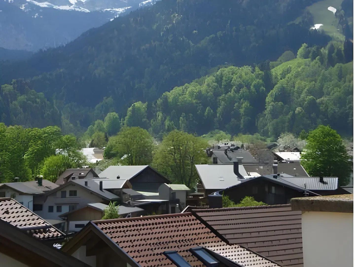 Zum Rassen EXTERIOR