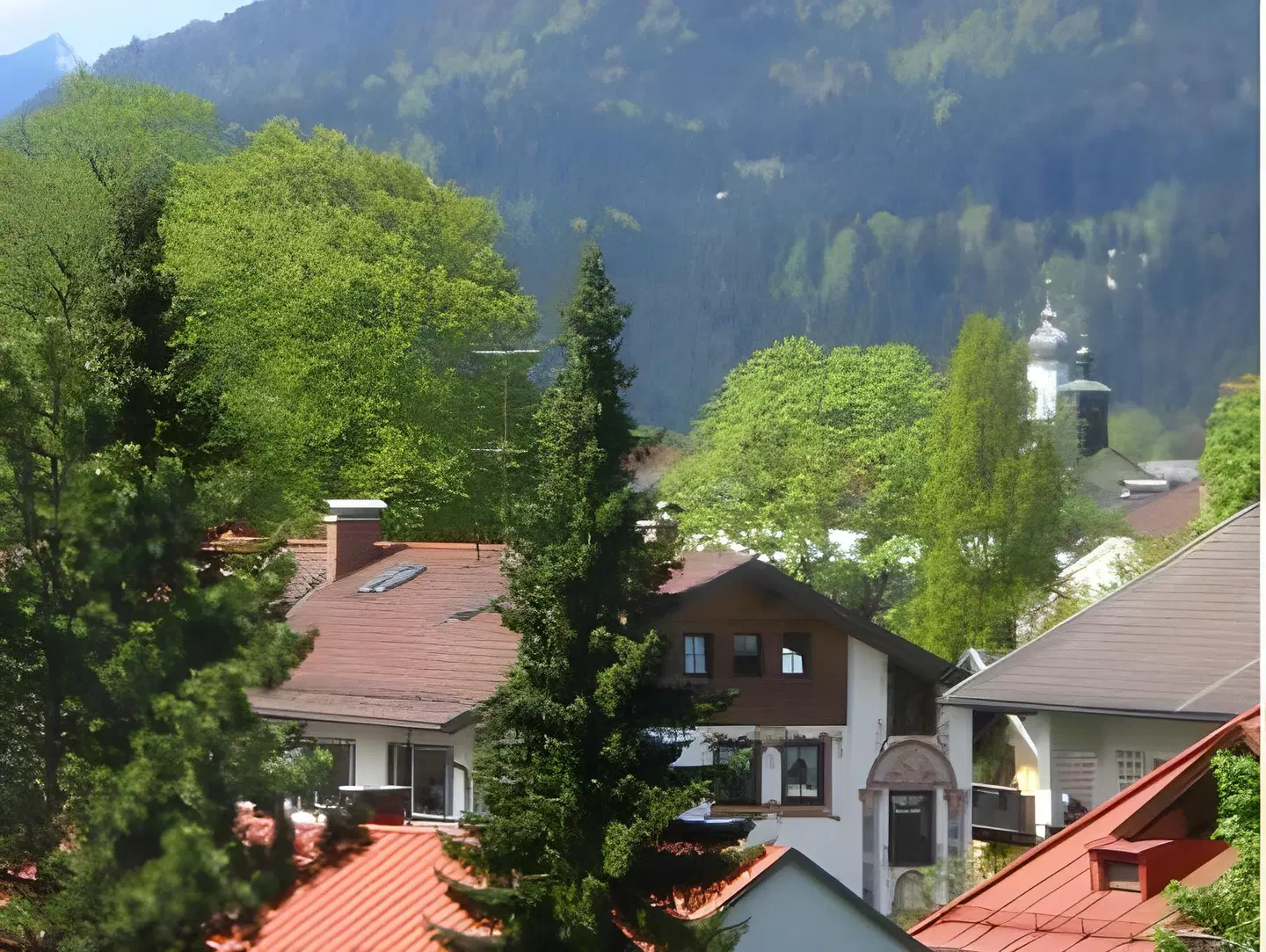 Zum Rassen EXTERIOR