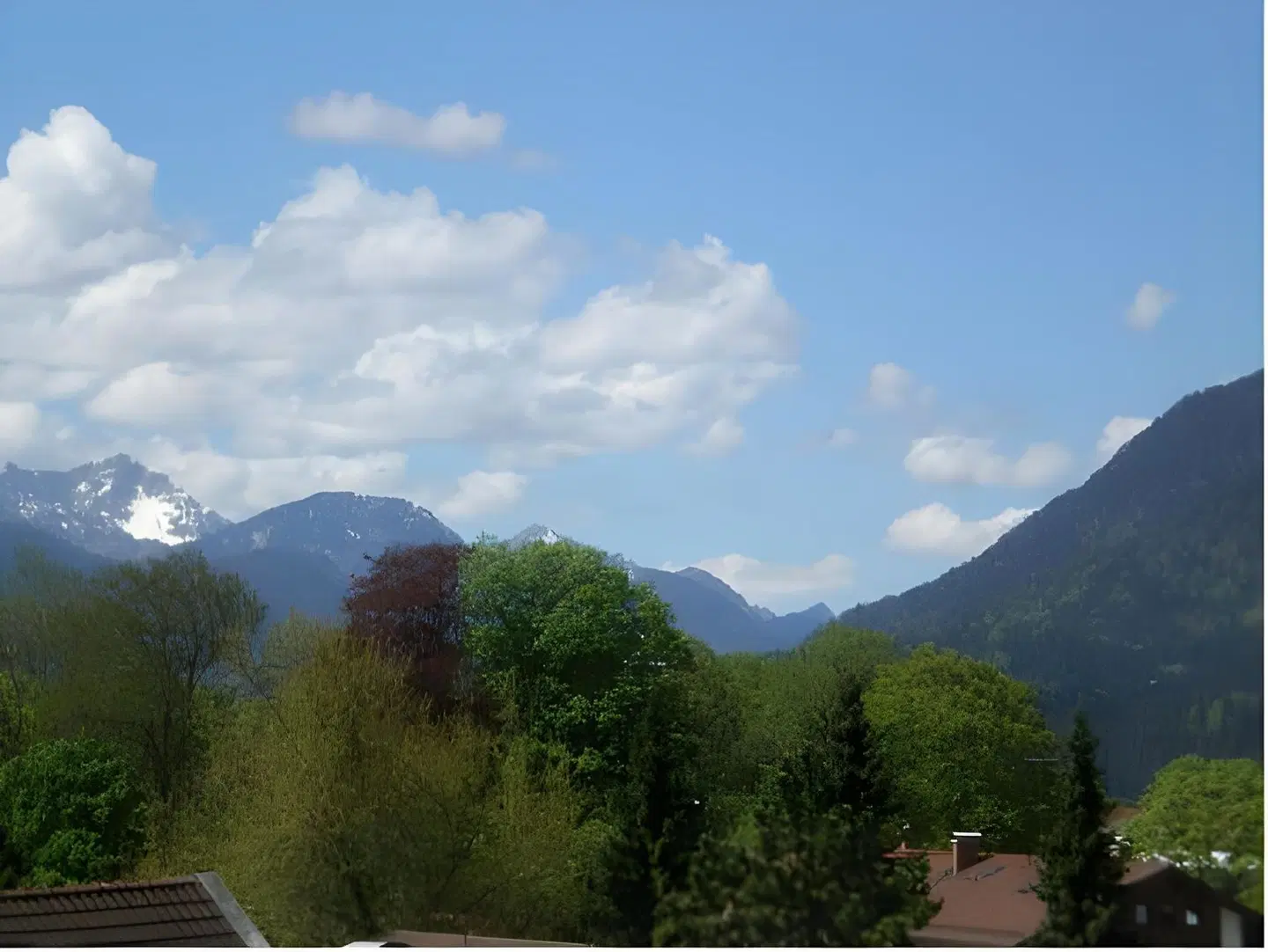 Zum Rassen LANDSCAPE