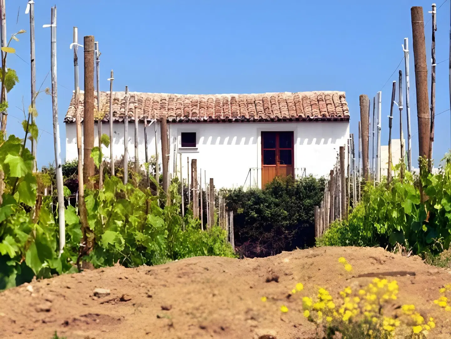 S'Abba e Sa Murta EXTERIOR