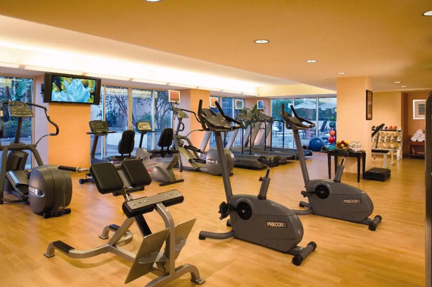 Omni Los Angeles Hotel at California Plaza SPORTS_AND_LEISURE