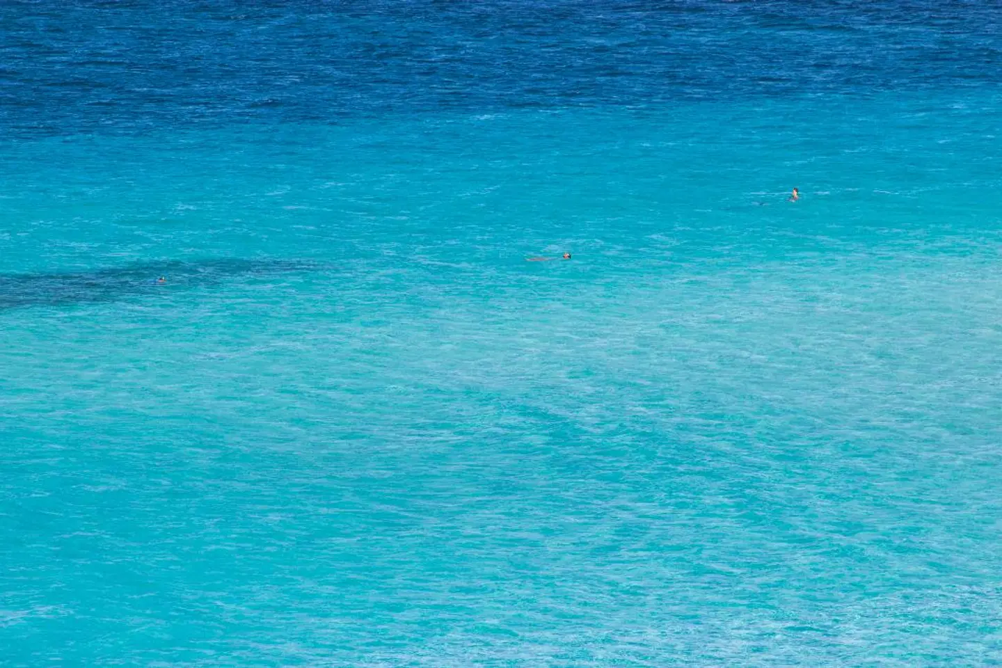 Sea Villas LANDSCAPE