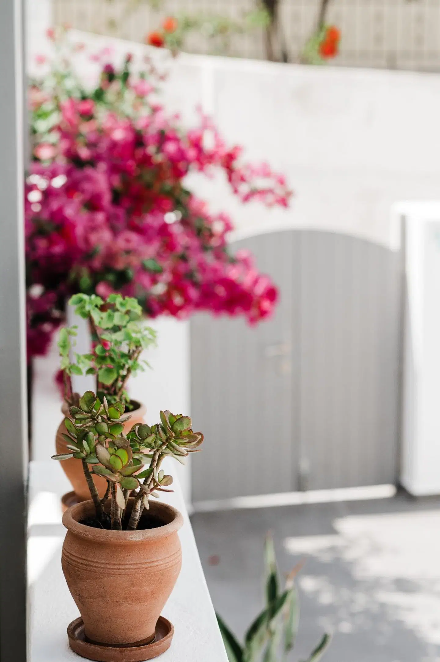 Amphitrite Suites Santorini HEALTH_BEAUTY
