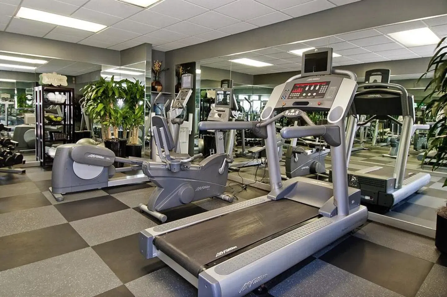 Dauphine Orleans Hotel SPORTS_AND_LEISURE