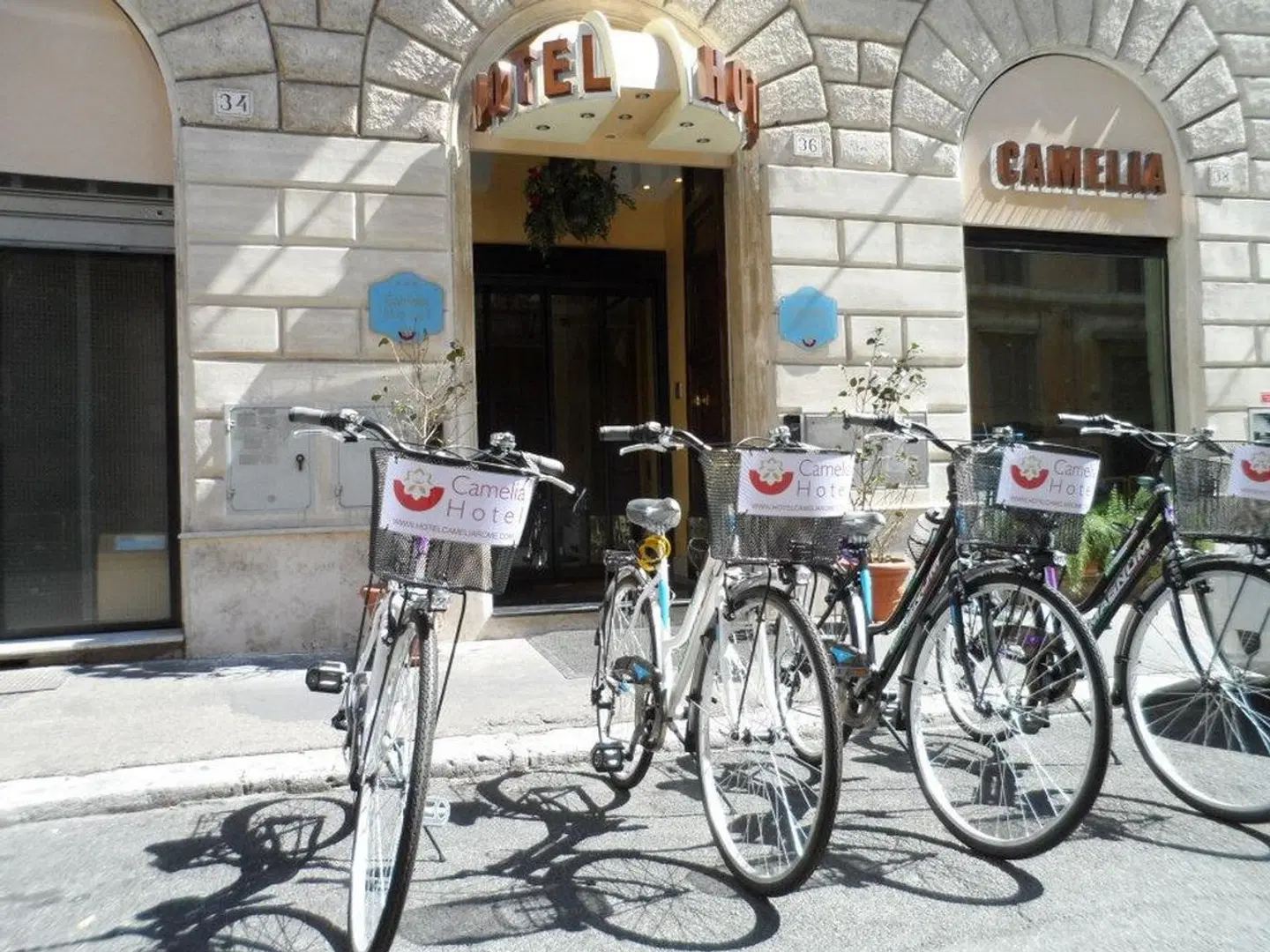 Camelia SPORTS_AND_LEISURE