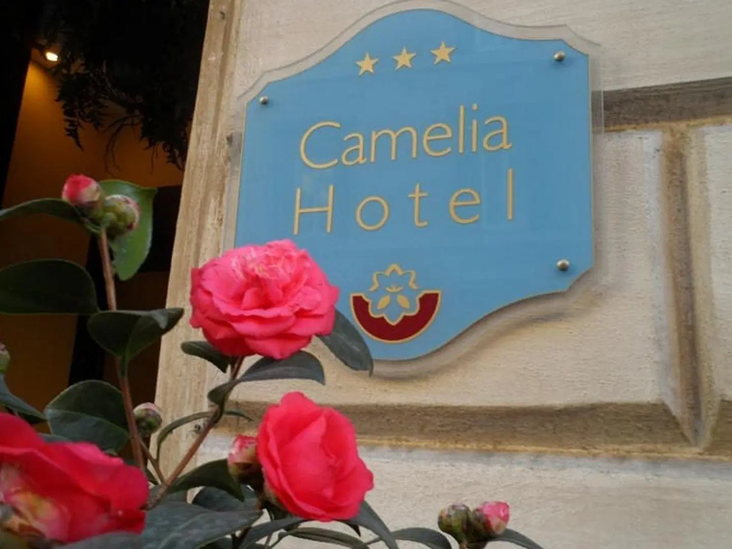 Camelia Landkarte