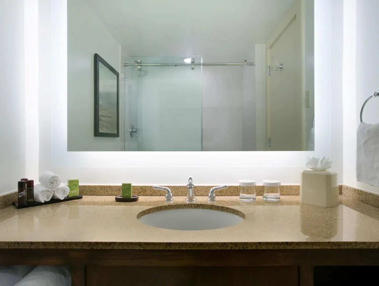 Embassy Suites by Hilton New Orleans - Convention Center Konferenz
