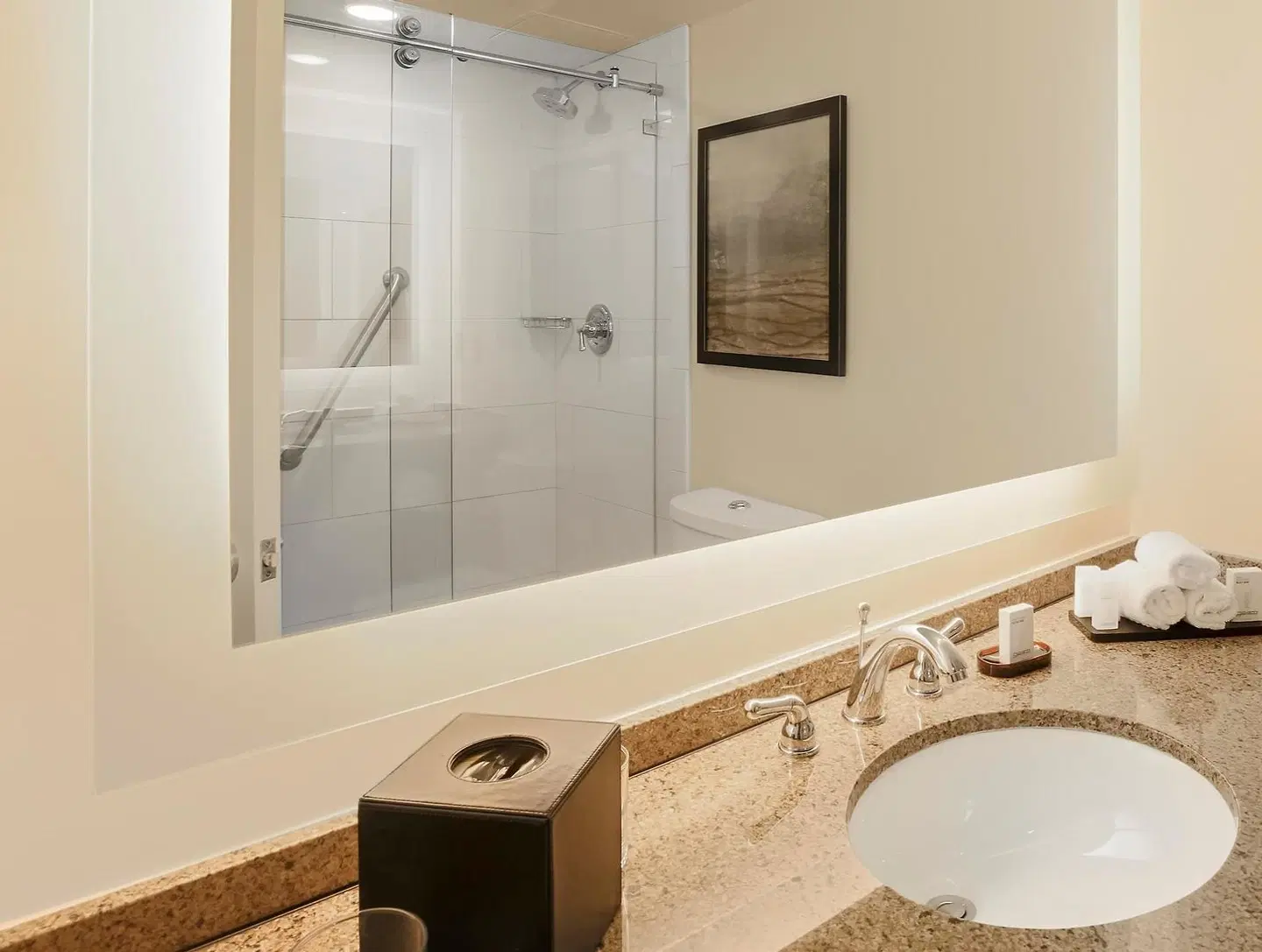 Embassy Suites by Hilton New Orleans - Convention Center Badezimmer
