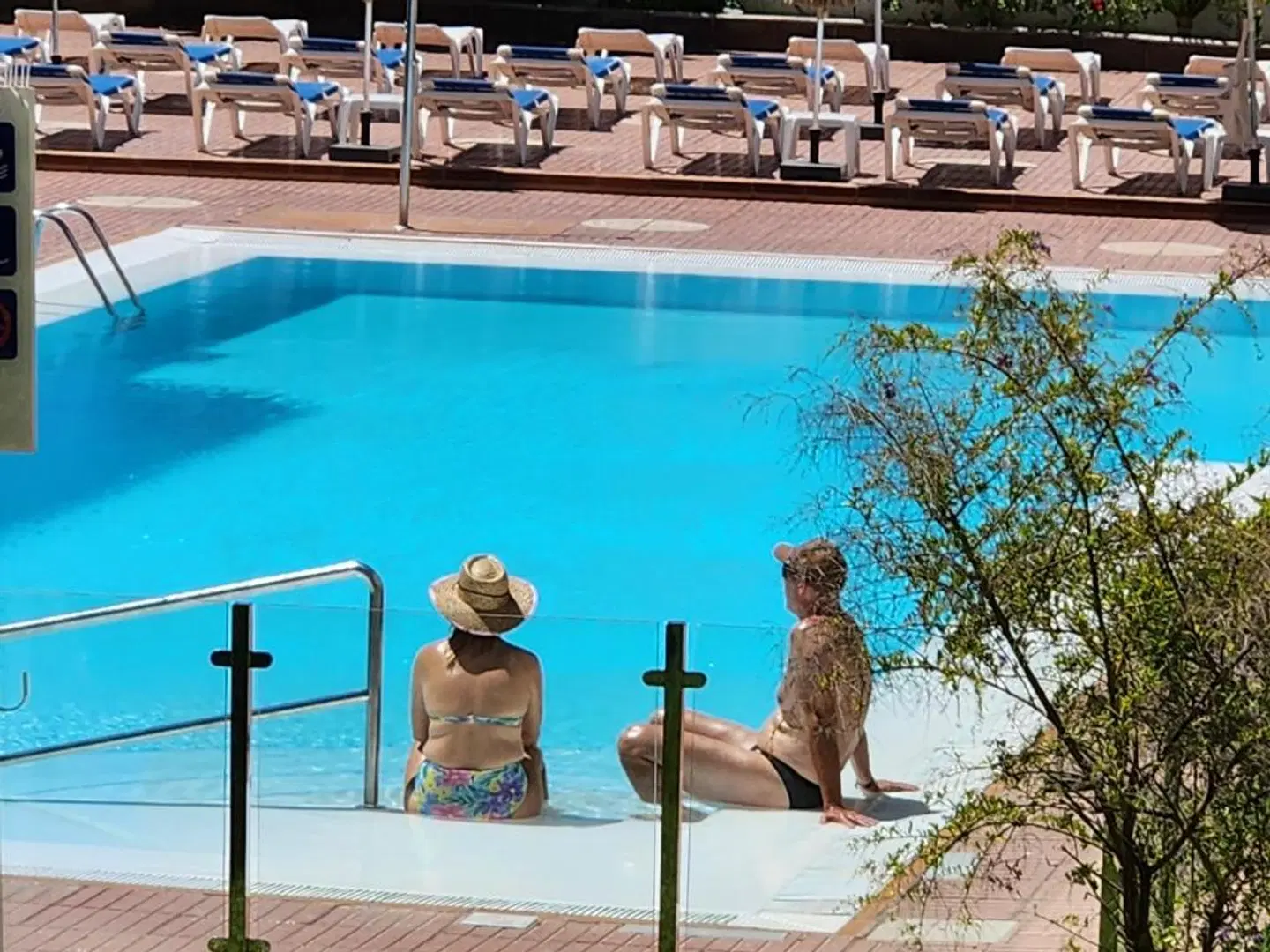 Apartamentos Las Camelias OUTDOOR_POOL