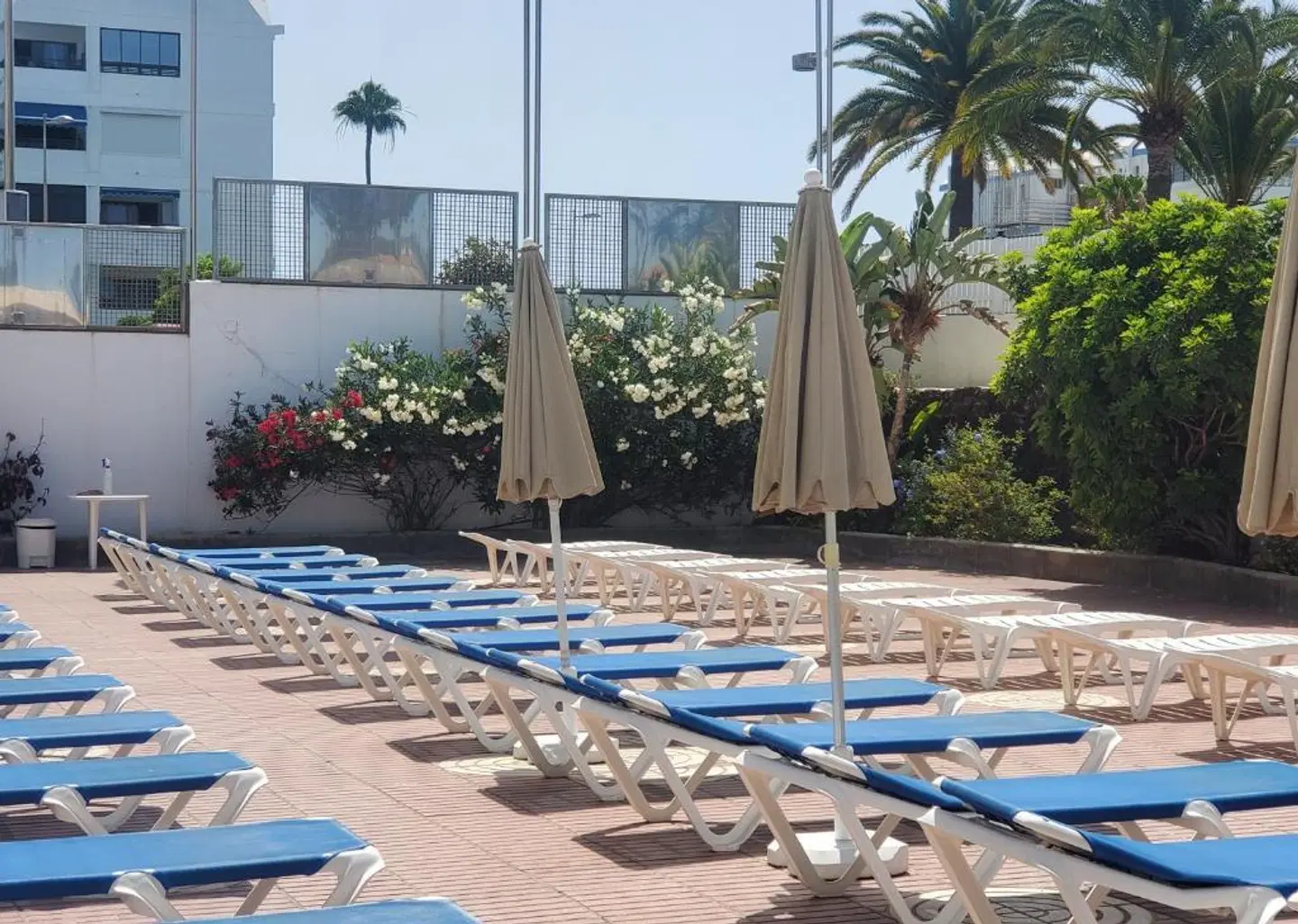 Apartamentos Las Camelias OUTDOOR_POOL