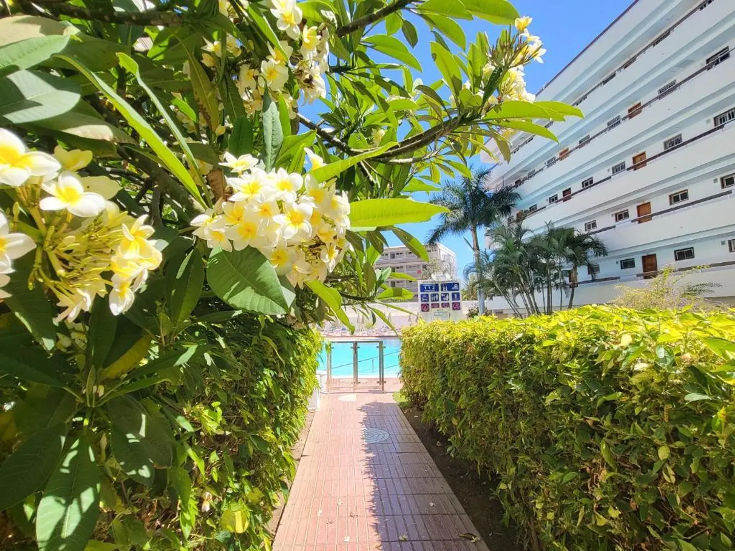 Apartamentos Las Camelias Garten
