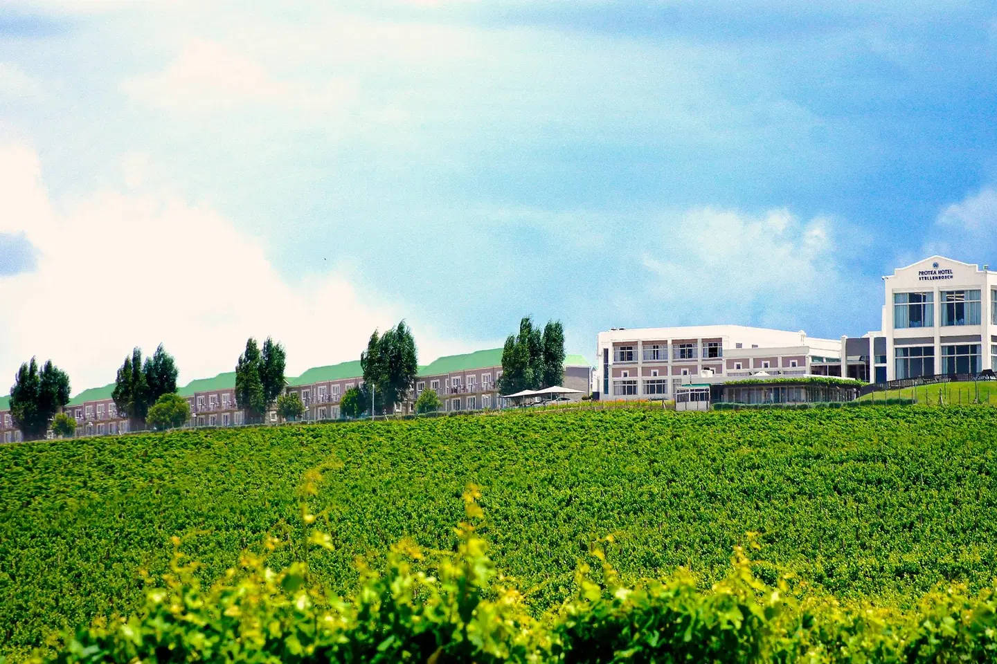 Protea Hotel by Marriott Stellenbosch and Conference Centre LANDSCAPE