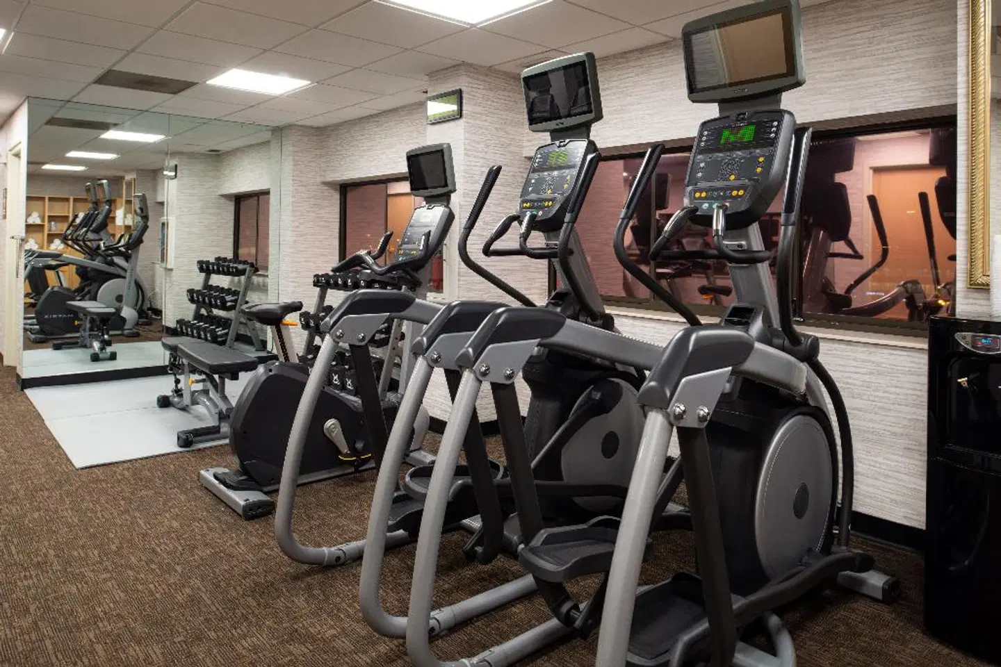 Holiday Inn Chicago - Downtown SPORTS_AND_LEISURE
