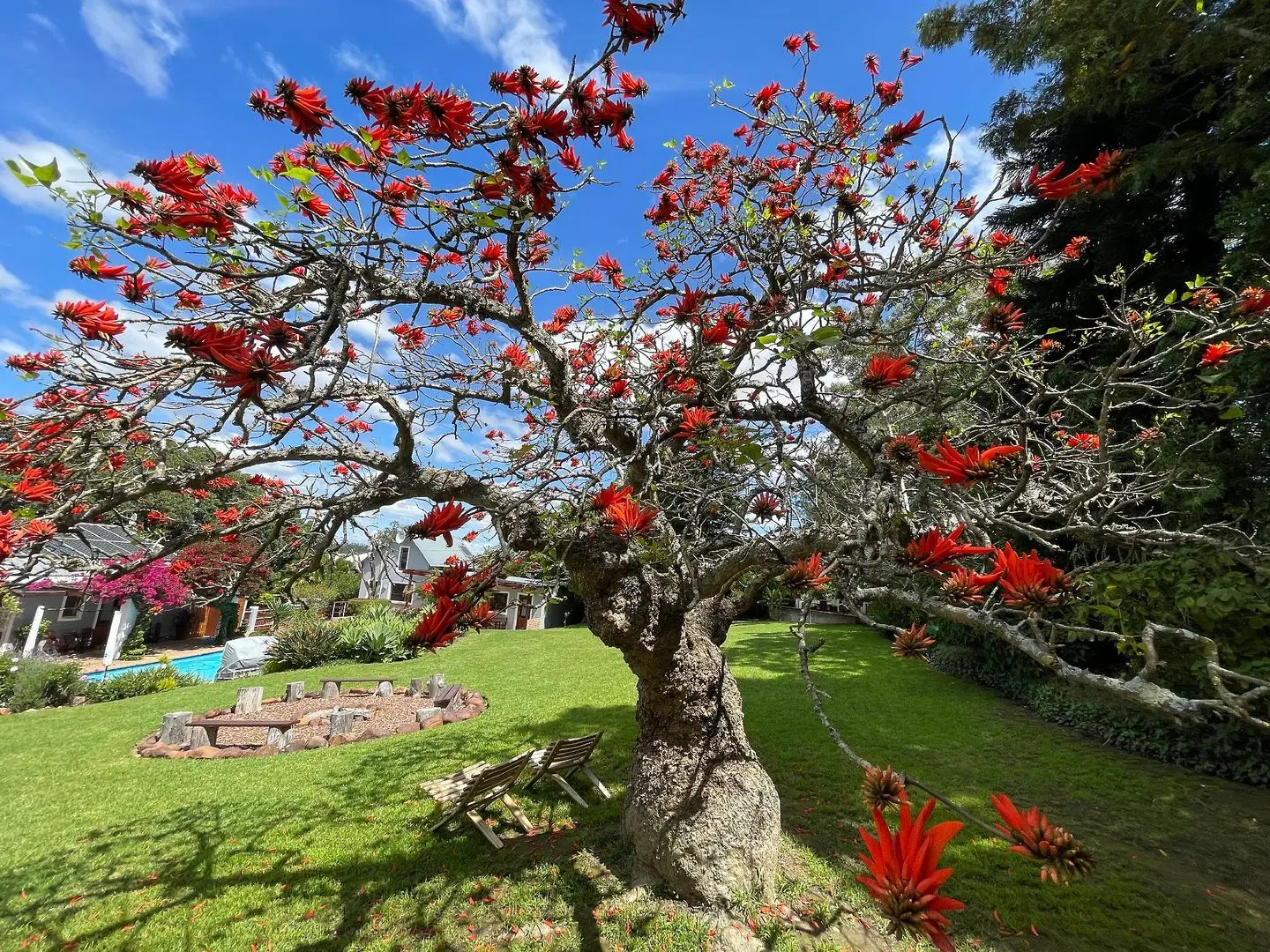 Marula Lodge Guesthouse Garten