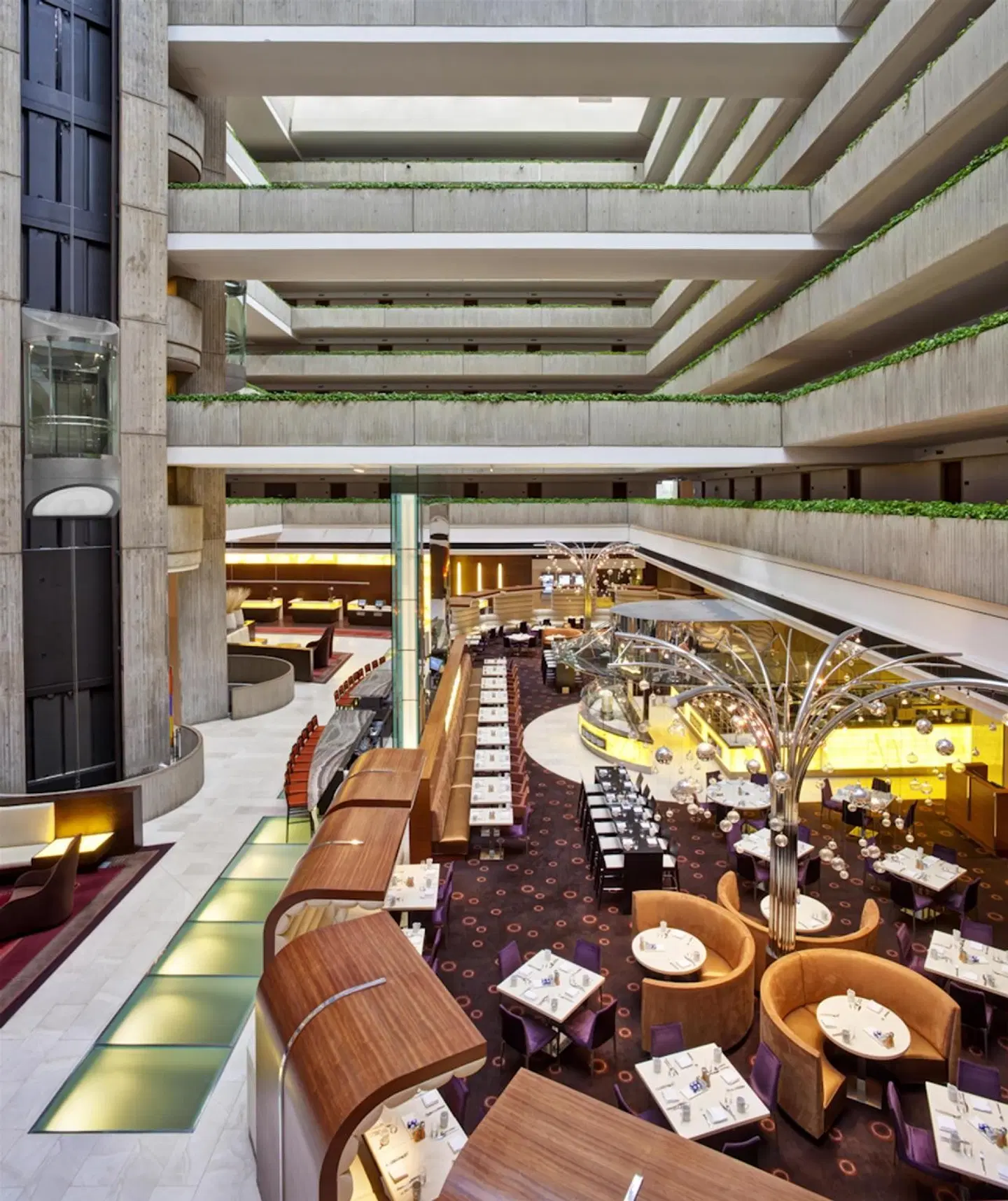 Hyatt Regency O'Hare Chicago Bar