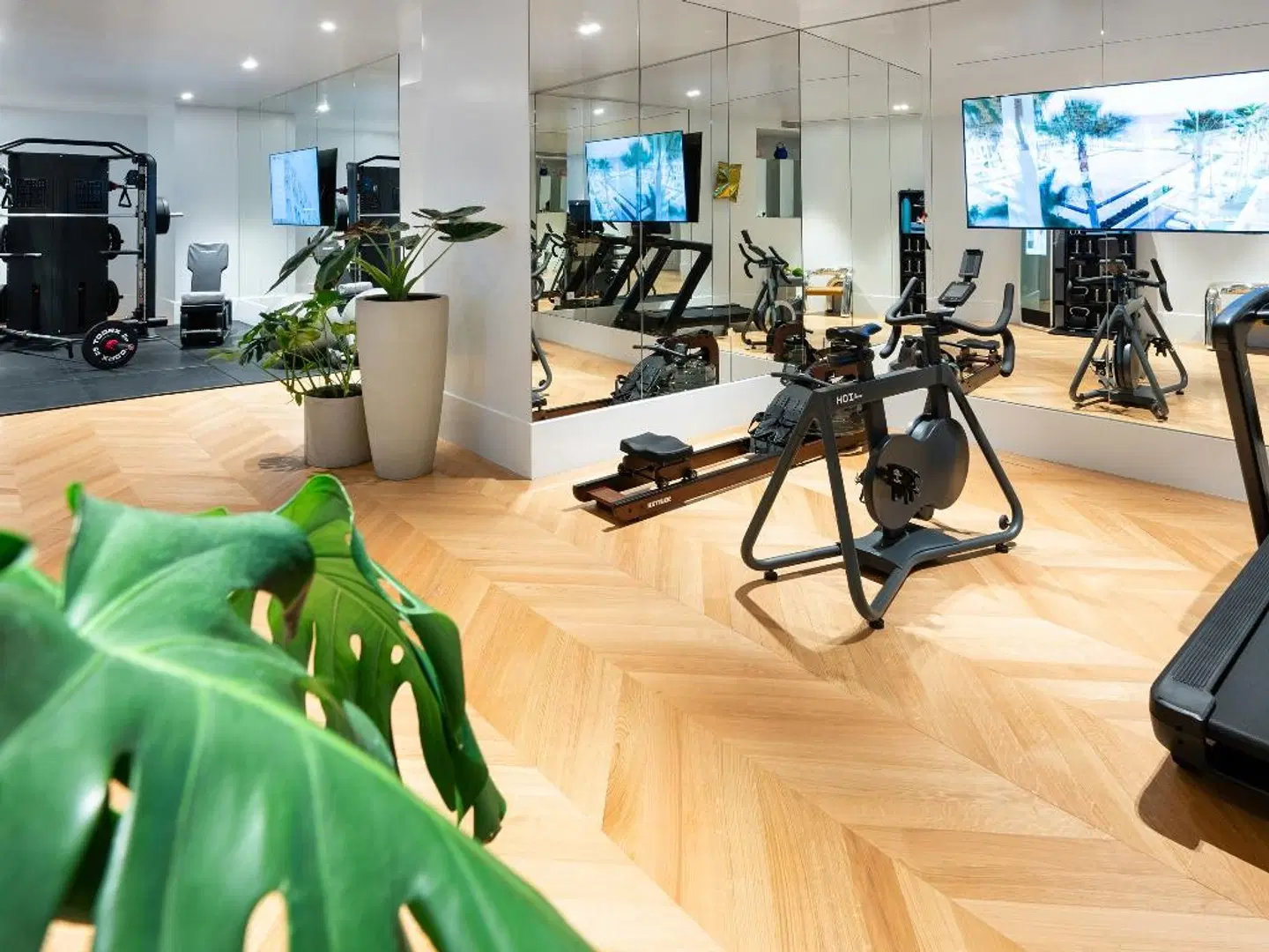 Grecotel The Dolli at Acropolis SPORTS_AND_LEISURE