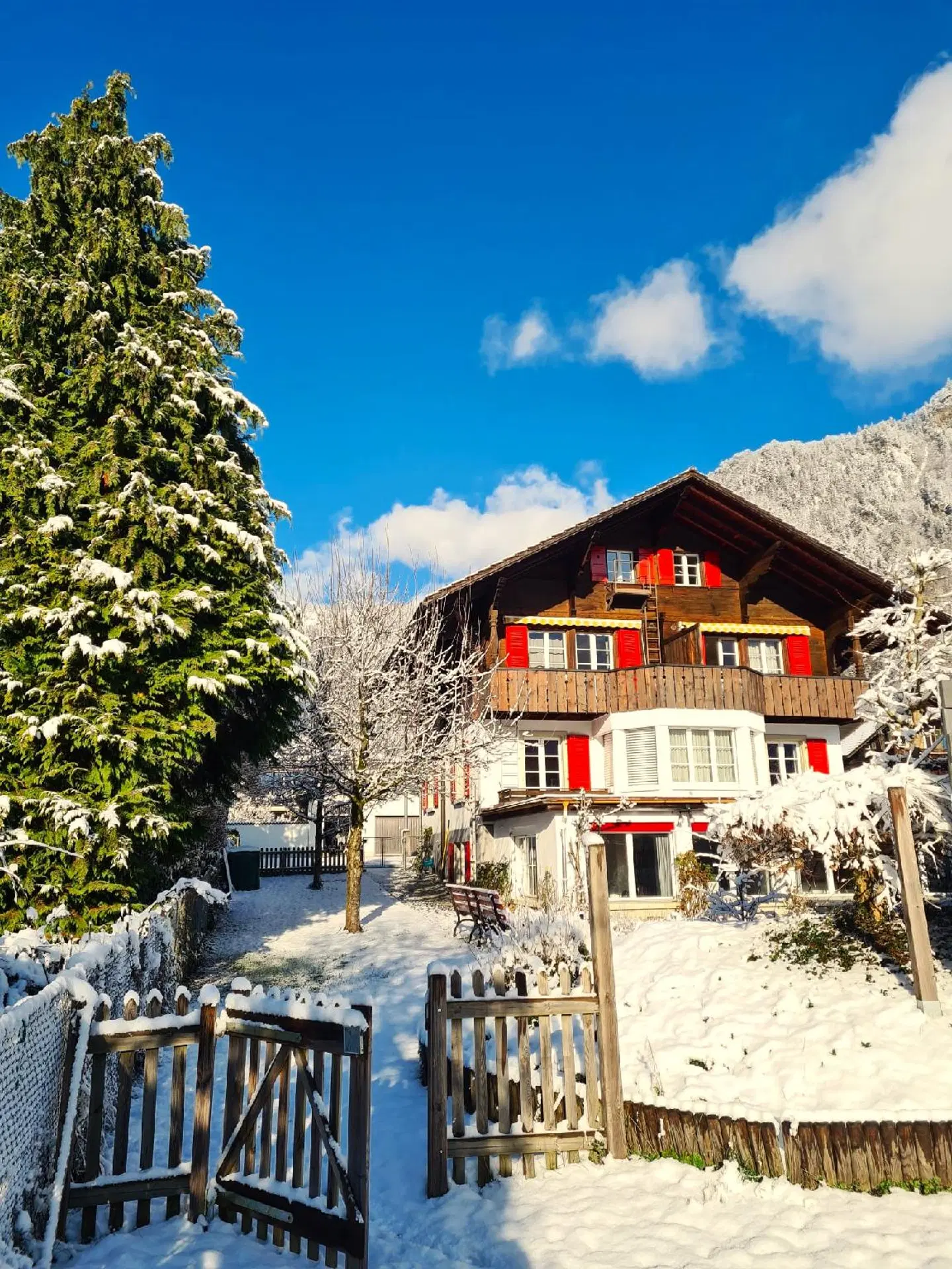 Adventure Guesthouse Interlaken EXTERIOR
