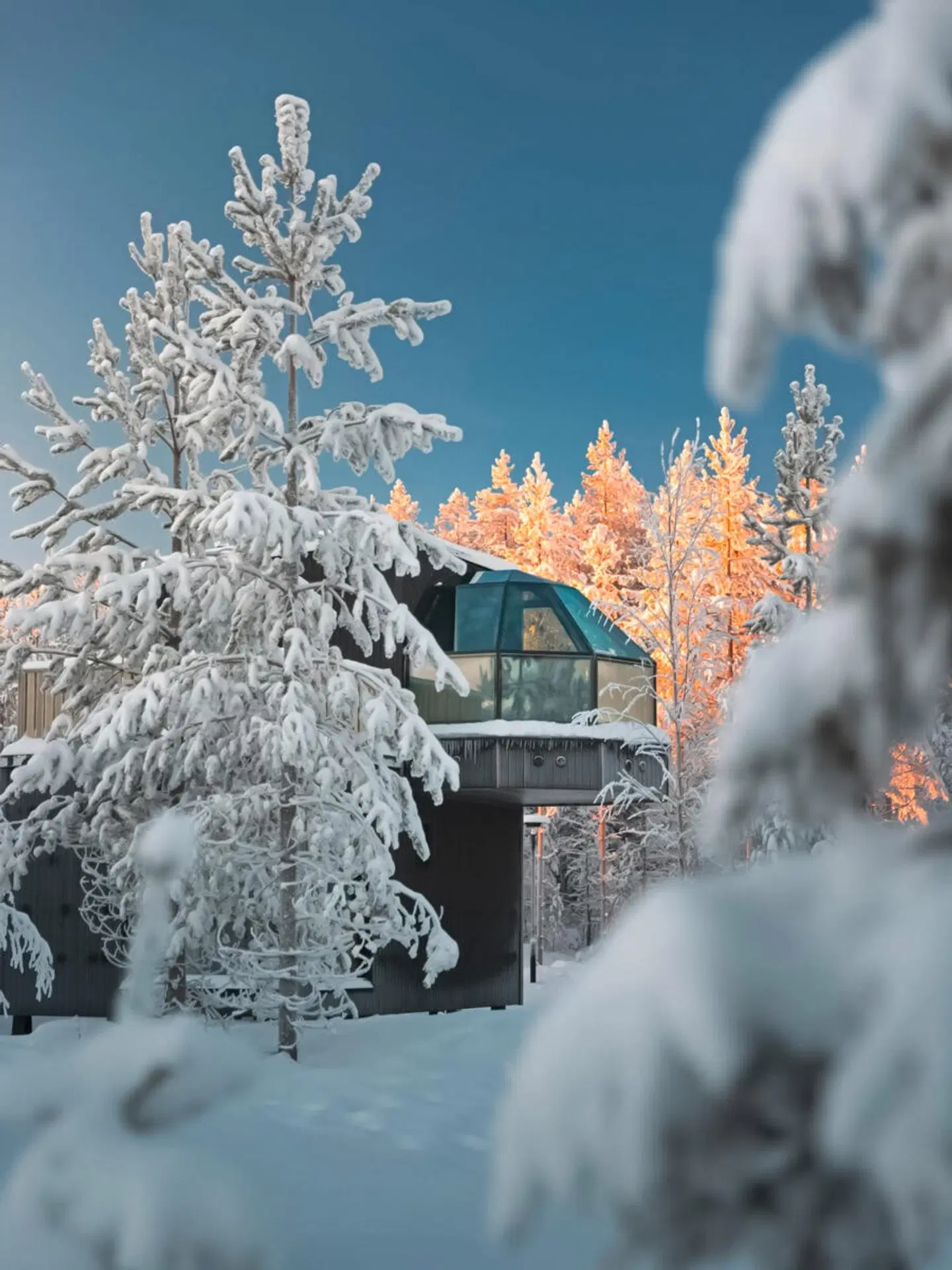 SkyView Igloo Resort EXTERIOR