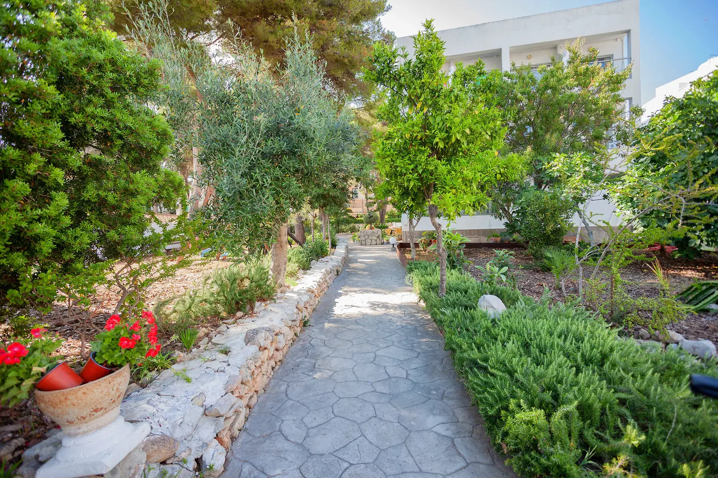 Petit Garden by Flacalco Garten