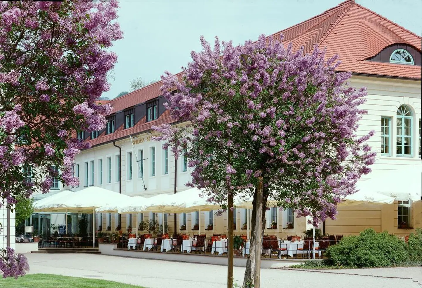 Schloßhotel Dresden-Pillnitz EXTERIOR
