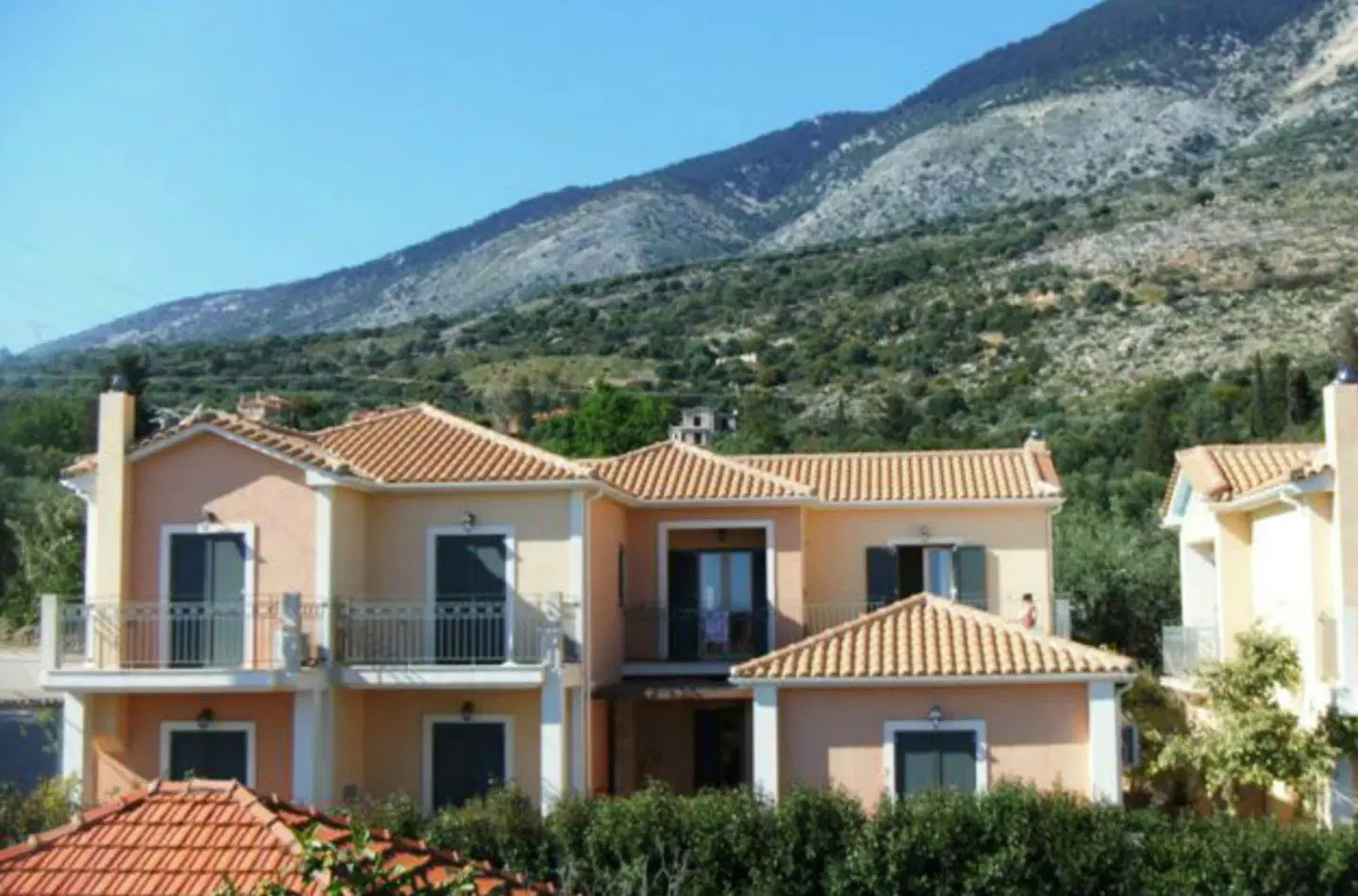 Liocharis EXTERIOR
