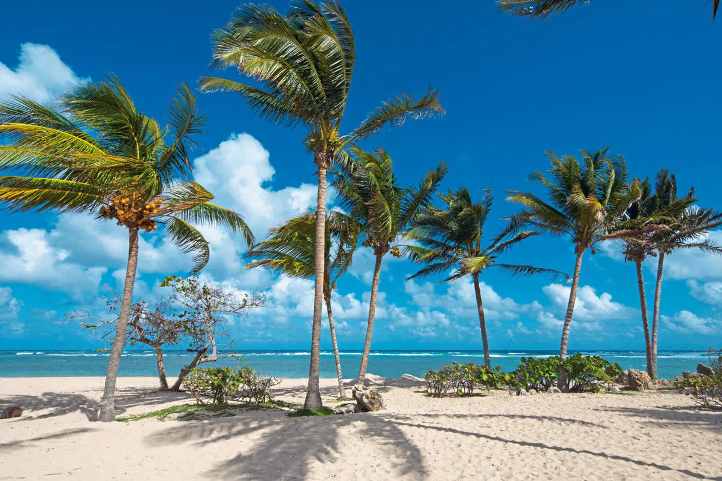 Hotel Jibacoa Strand