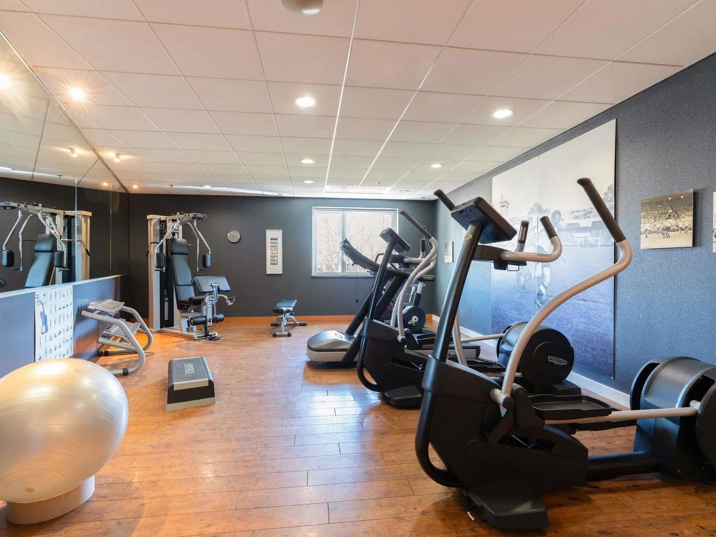 Novotel Bern Expo Hotel SPORTS_AND_LEISURE
