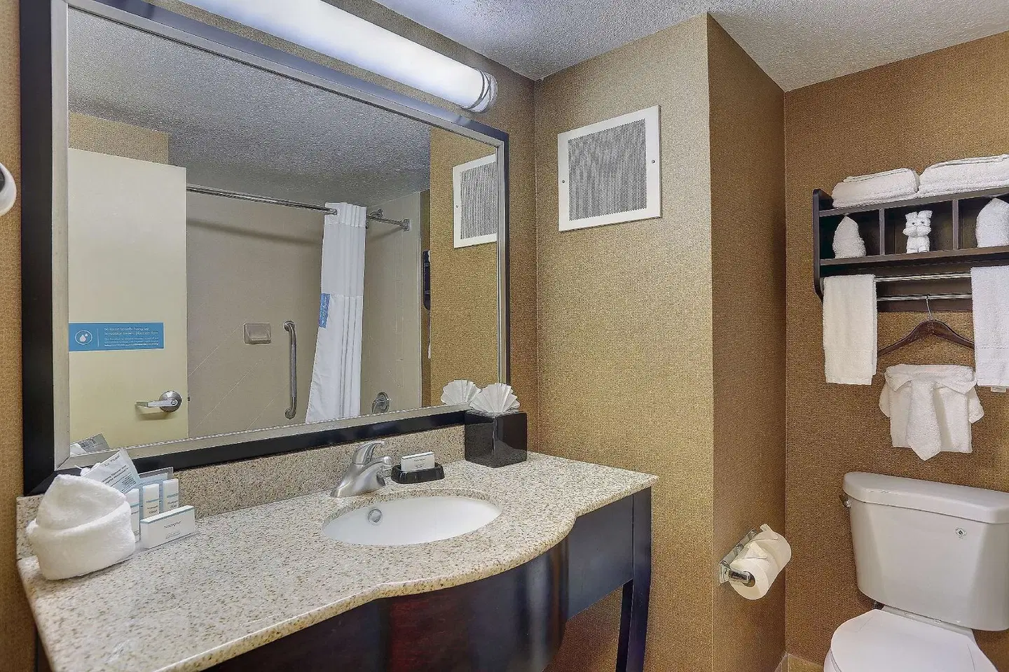 Hampton Inn Nashville-I-24 Hickory Hollow Badezimmer