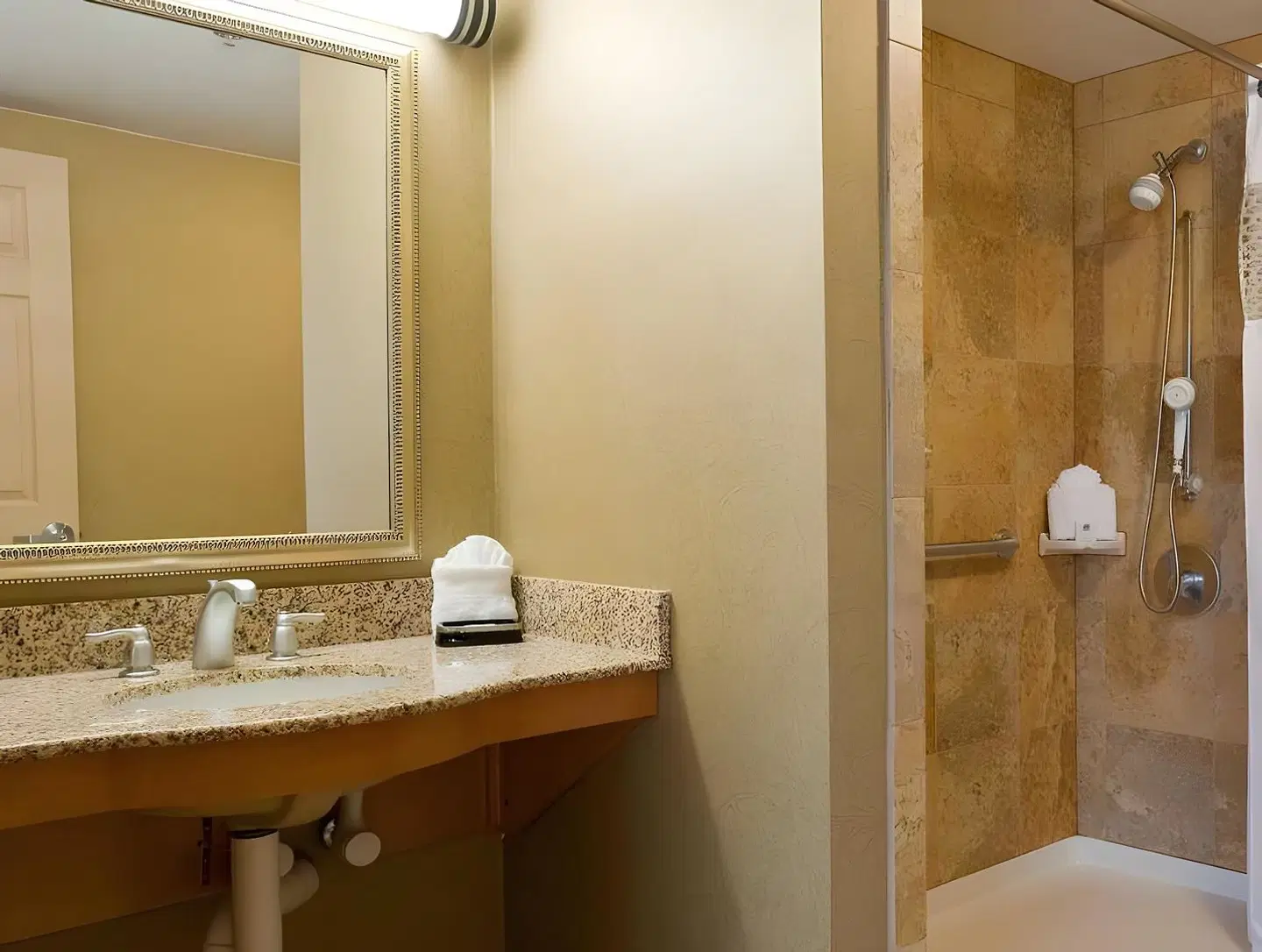 Hampton Inn Nashville/Brentwood-I-65S Badezimmer