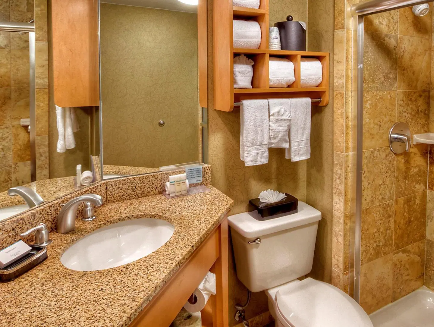 Hampton Inn Nashville/Brentwood-I-65S Badezimmer