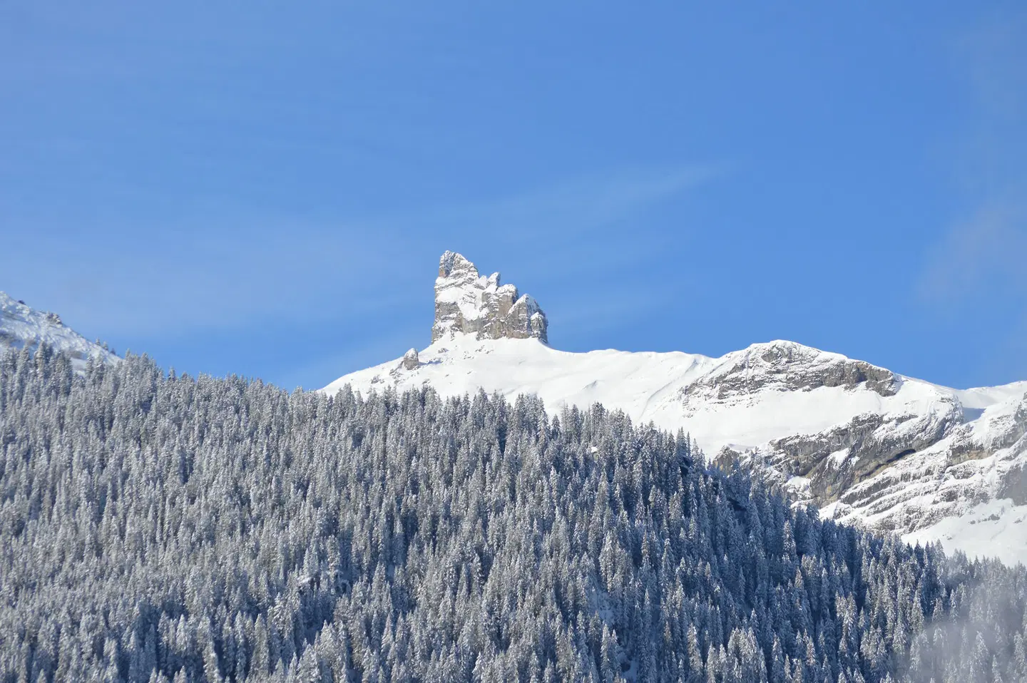 Hotel Silberhorn LANDSCAPE