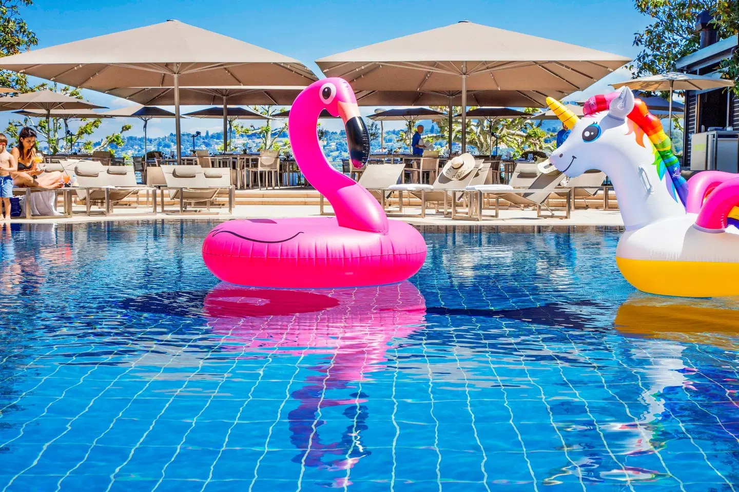 Hotel President Wilson, a Luxury Collection Hotel, Geneva OUTDOOR_POOL