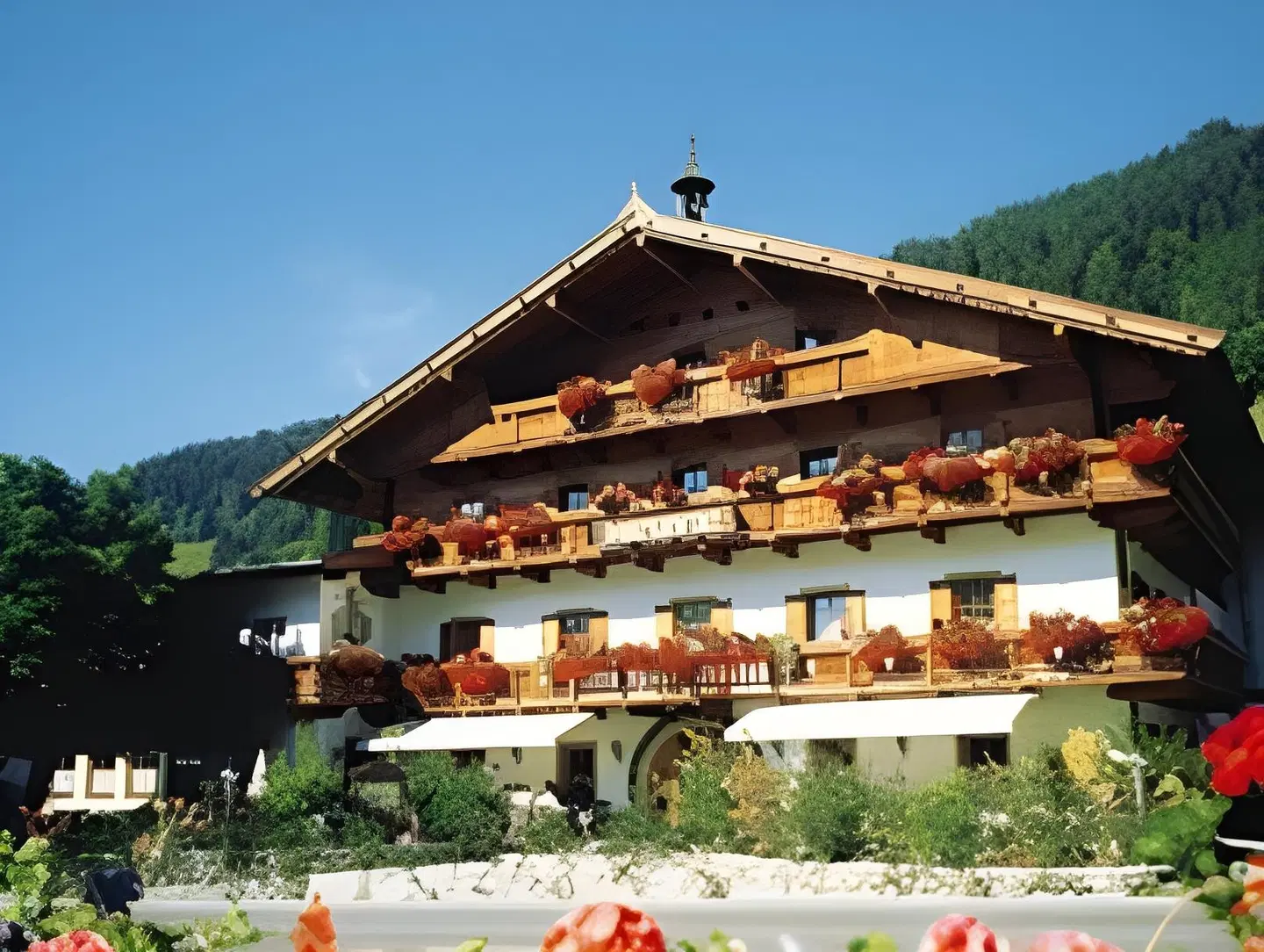 Hotel Dorferwirt EXTERIOR