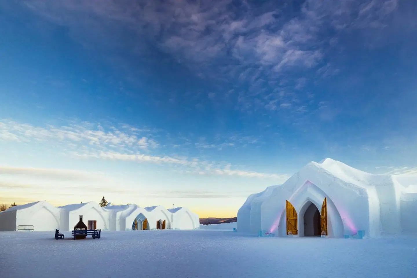 Hotel de Glace Tiere