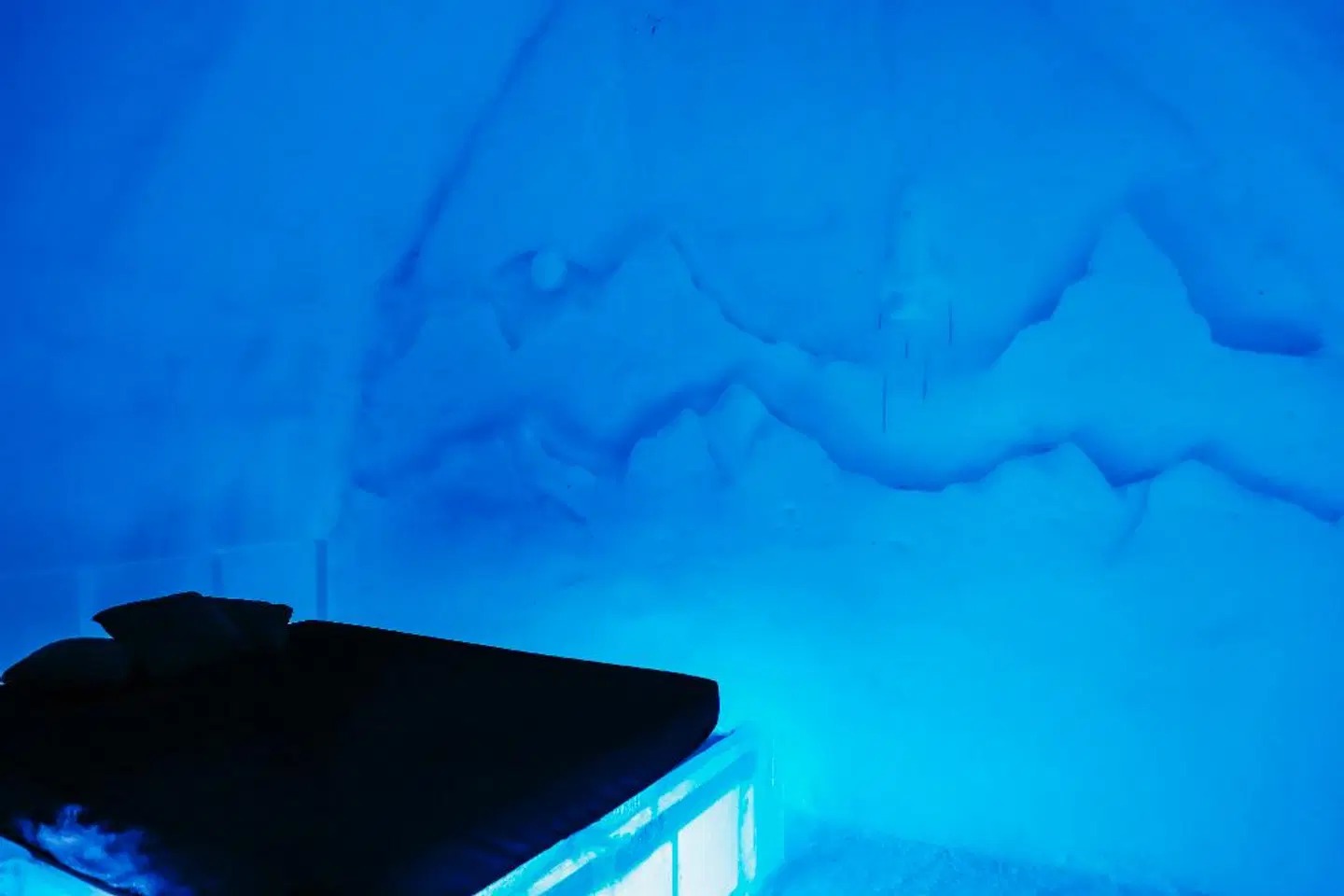 Hotel de Glace Tiere