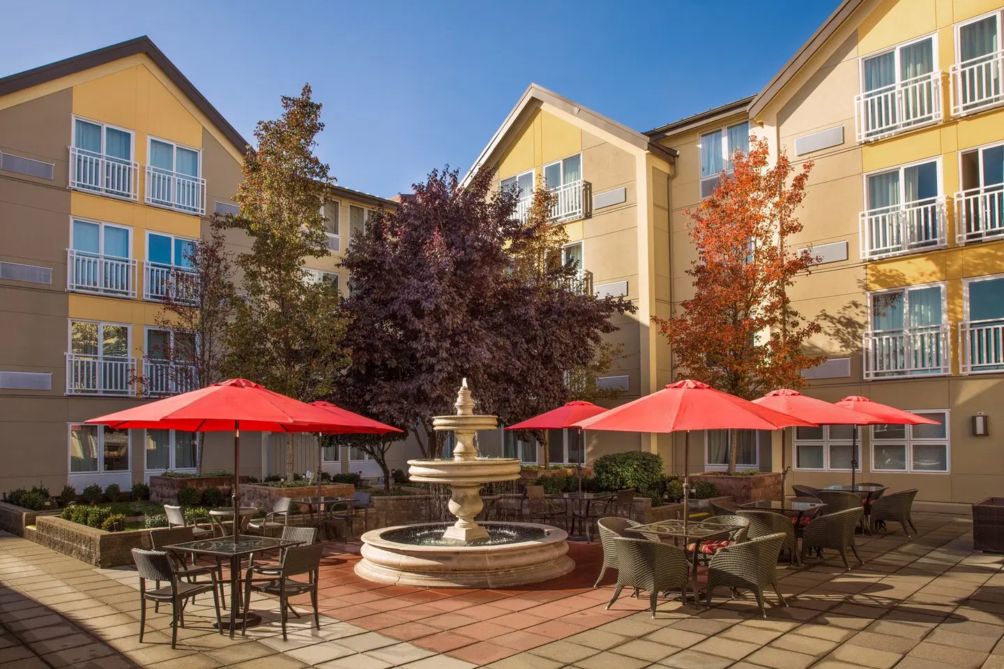 Four Points by Sheraton Downtown Seattle Center Terrasse