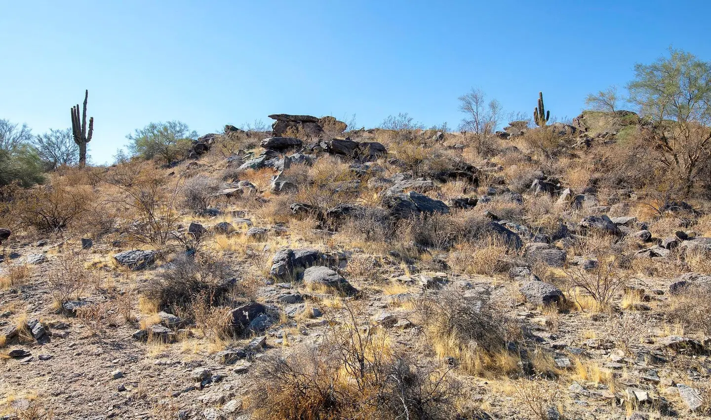 Raintree at Worldmark Phoenix South Mountain Preserve LANDSCAPE