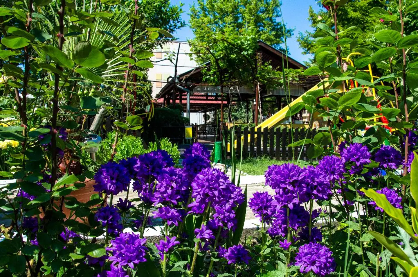 Trakia Garden Garten