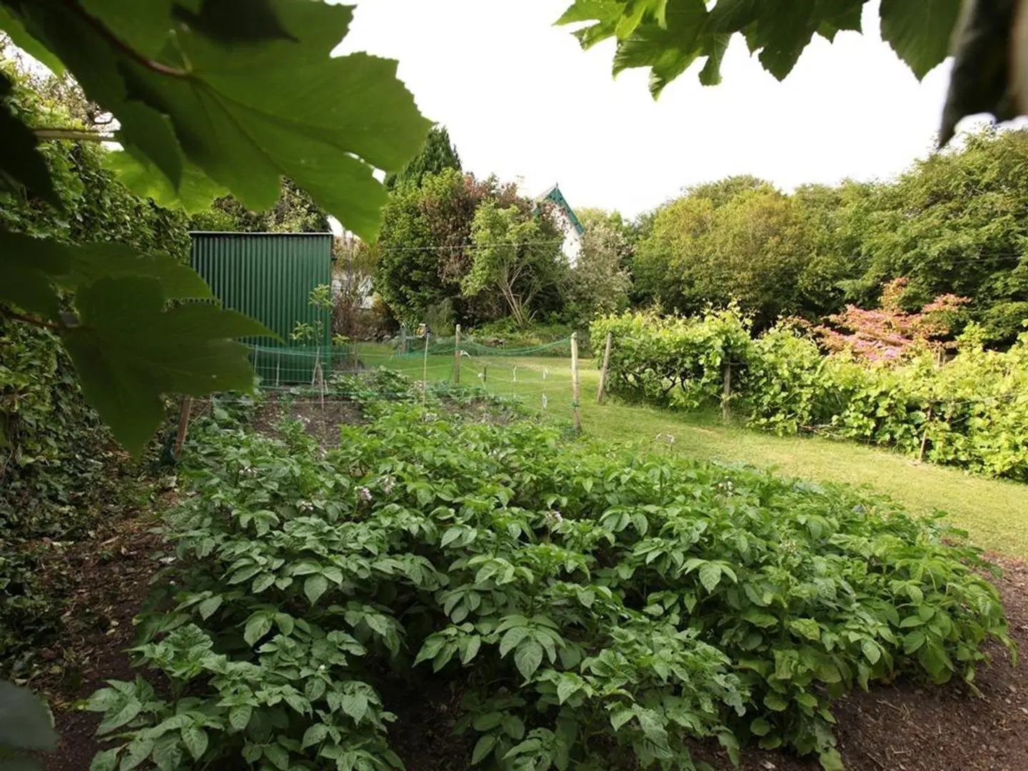 Robin Hill House B&B Garten